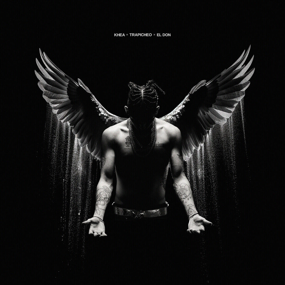 Релиз Trapicheo: EL DON