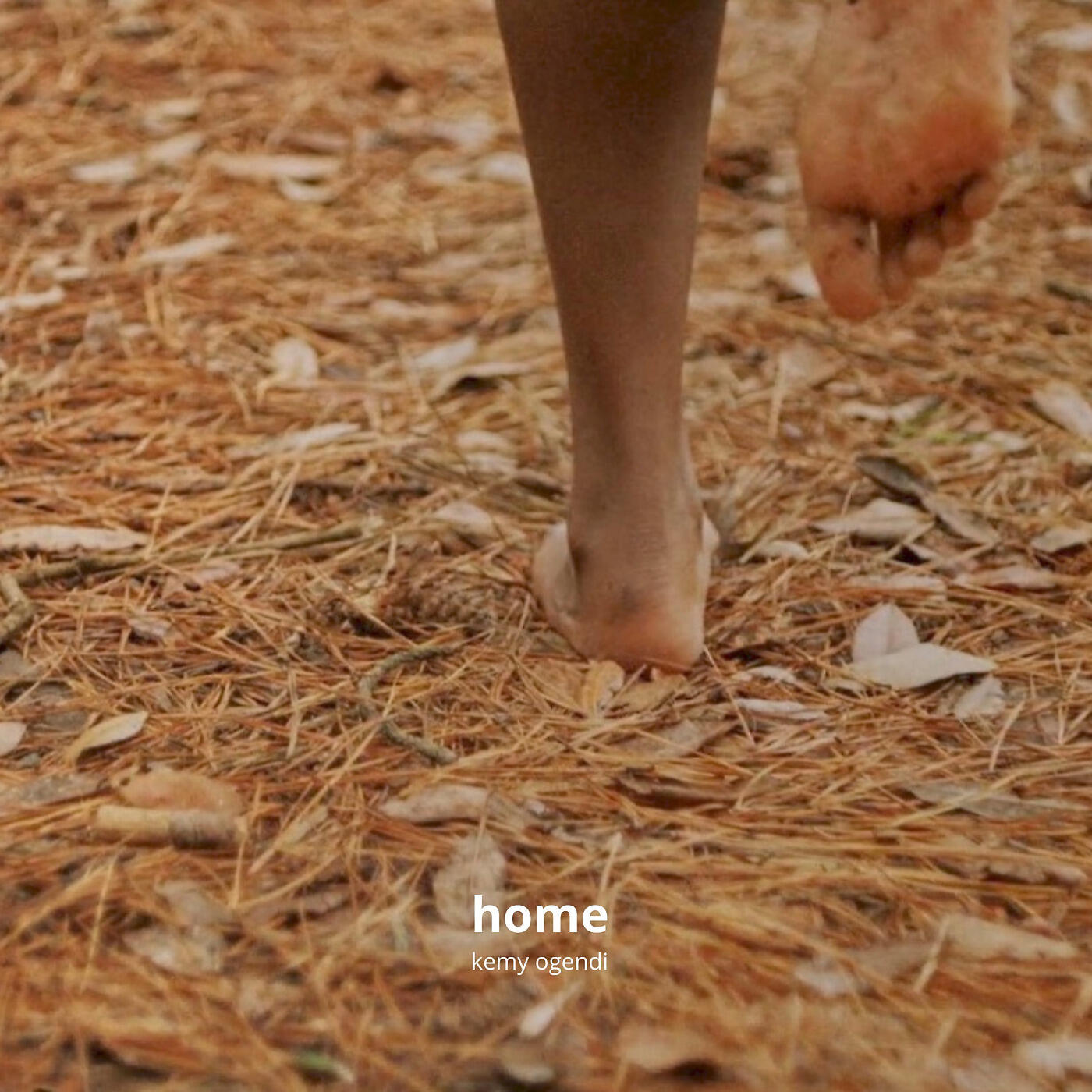 Релиз Home