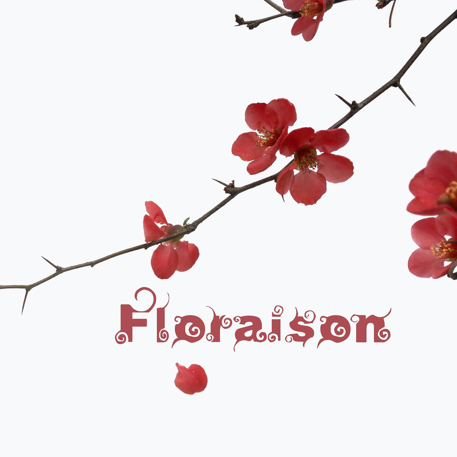 Релиз Floraison