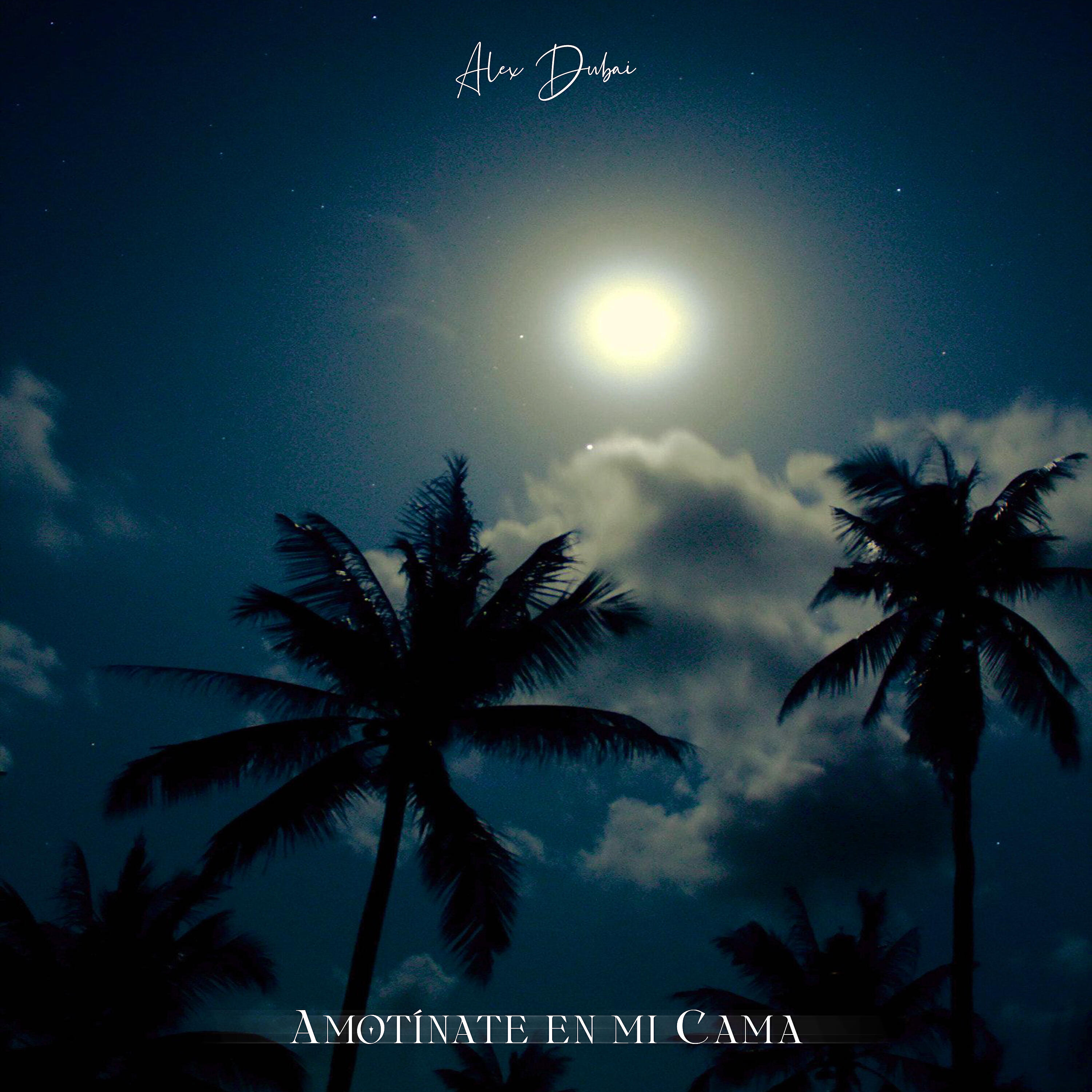 Релиз Amotínate en Mi Cama