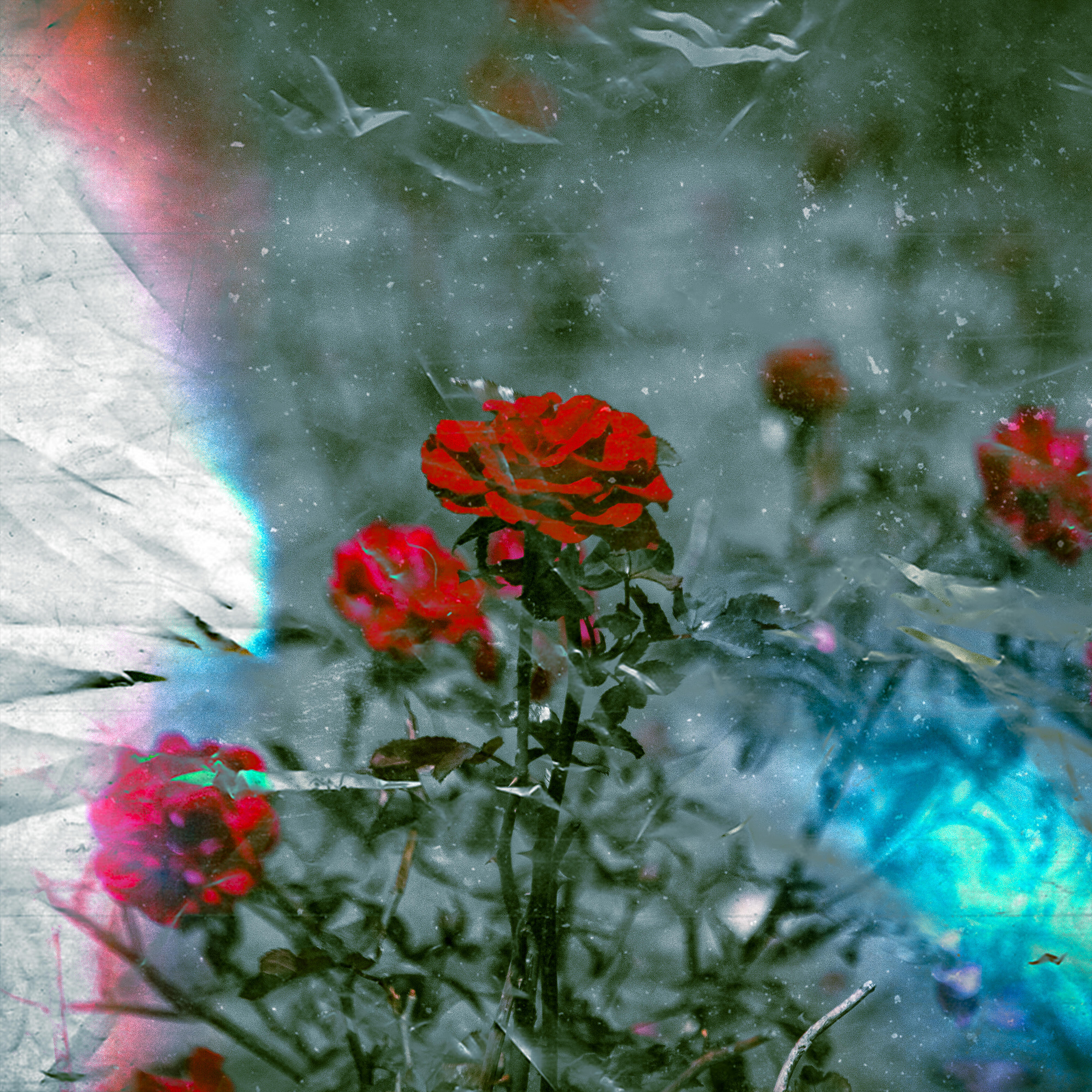 Релиз Thought 88
