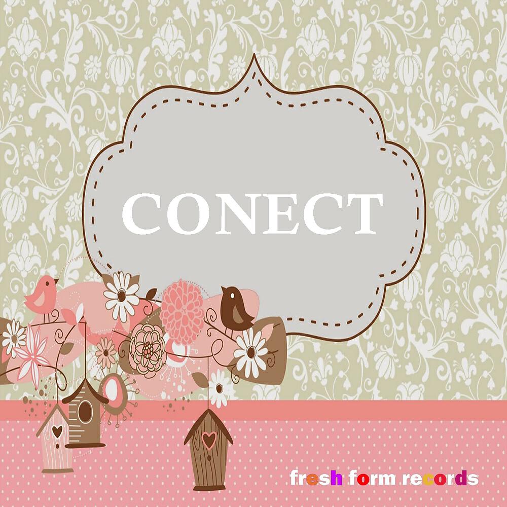 Релиз Conect