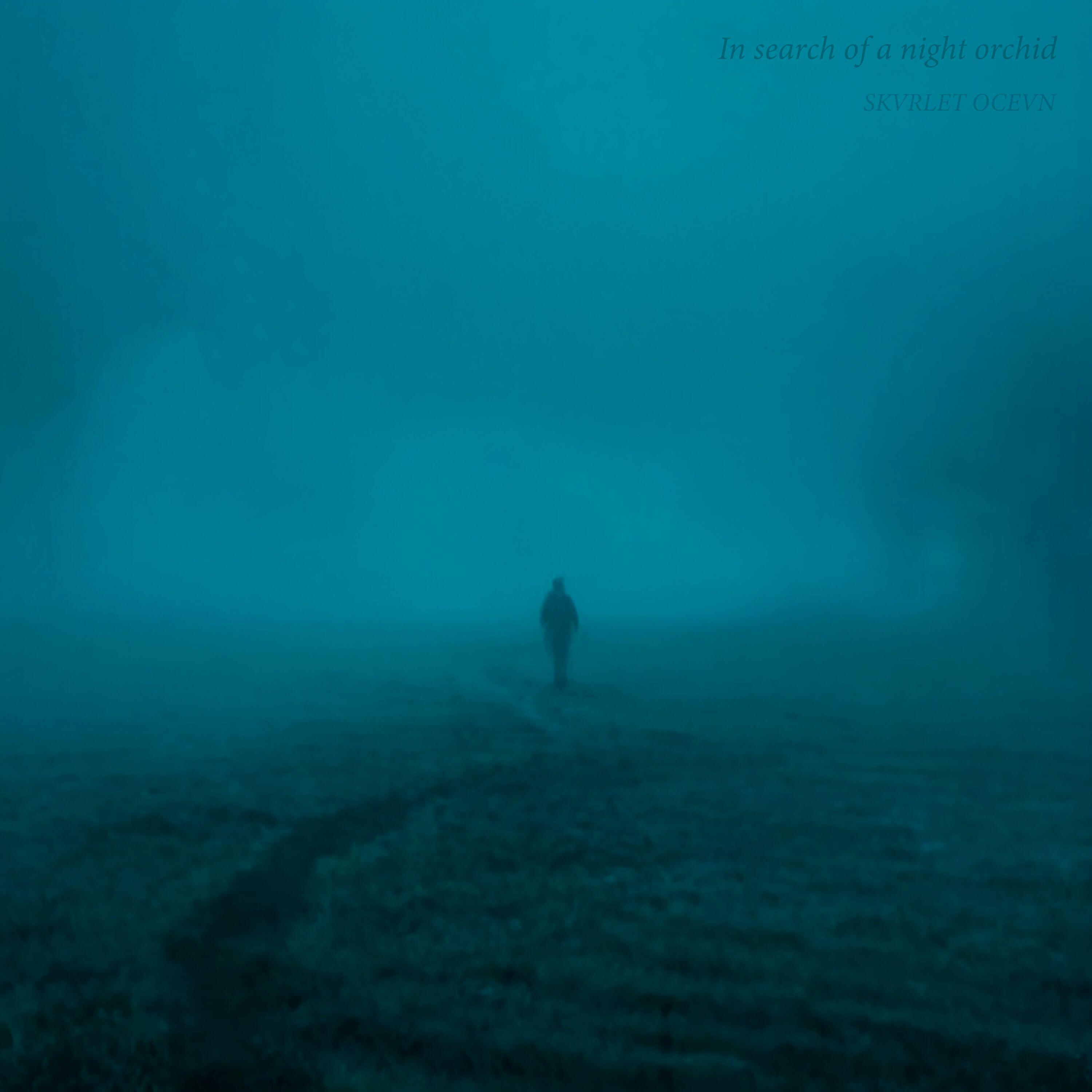 Релиз In search of a night orchid
