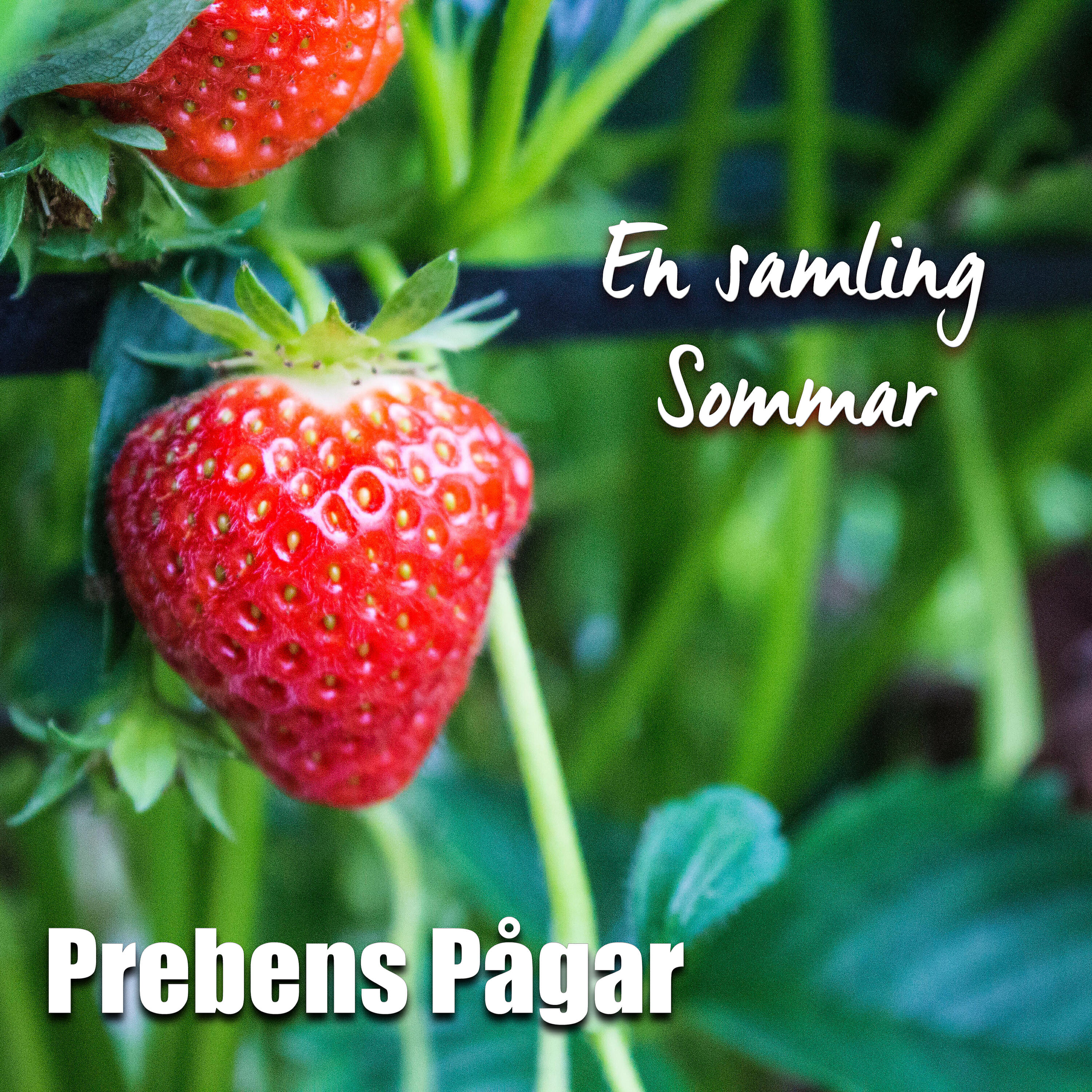 Релиз En samling Sommar