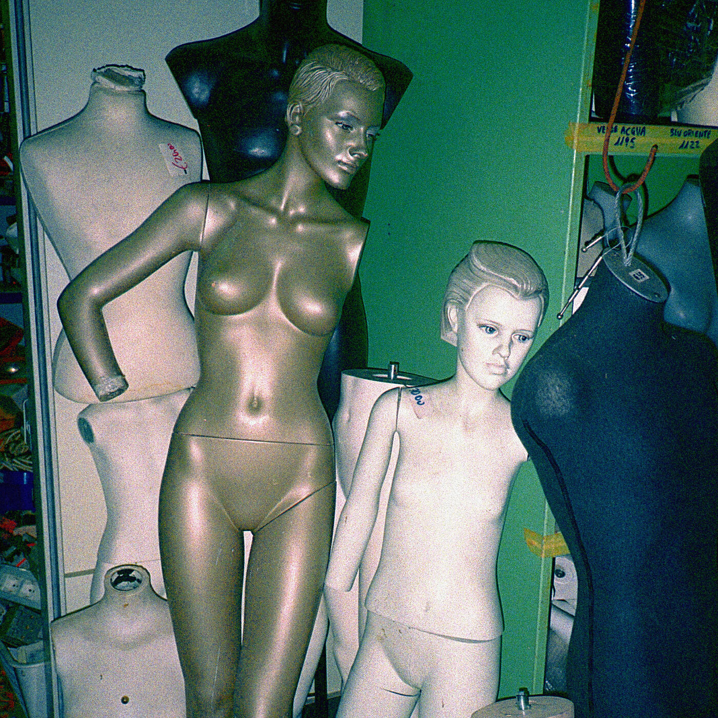 Релиз Marilyn