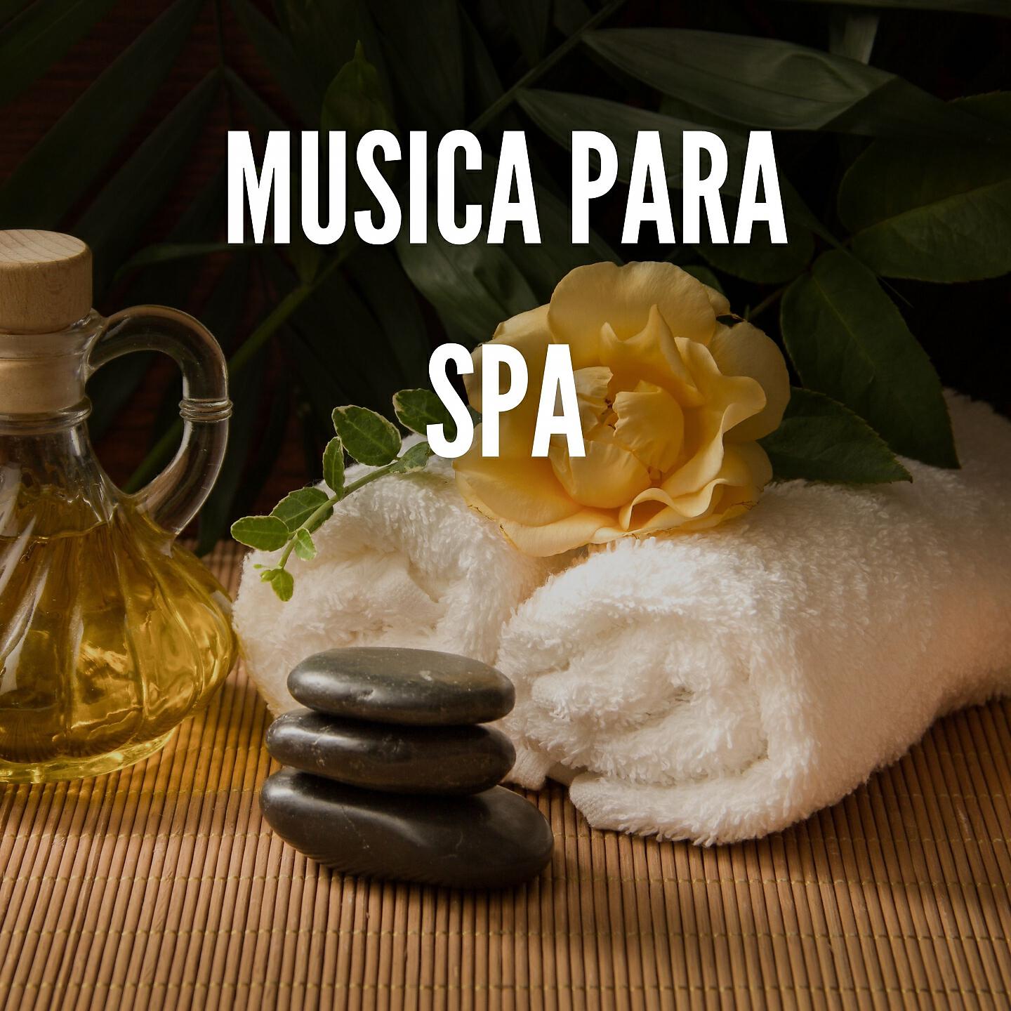 Релиз Música Para Spa