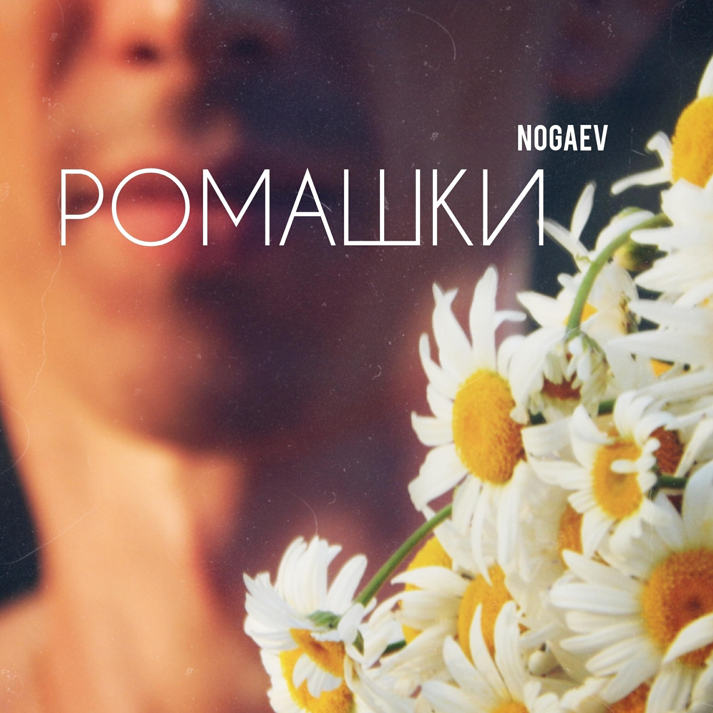 Релиз Ромашки