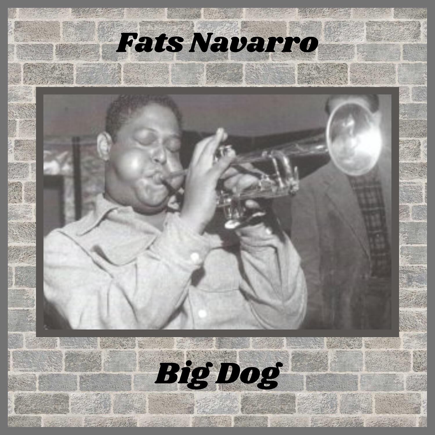 Релиз Big Dog