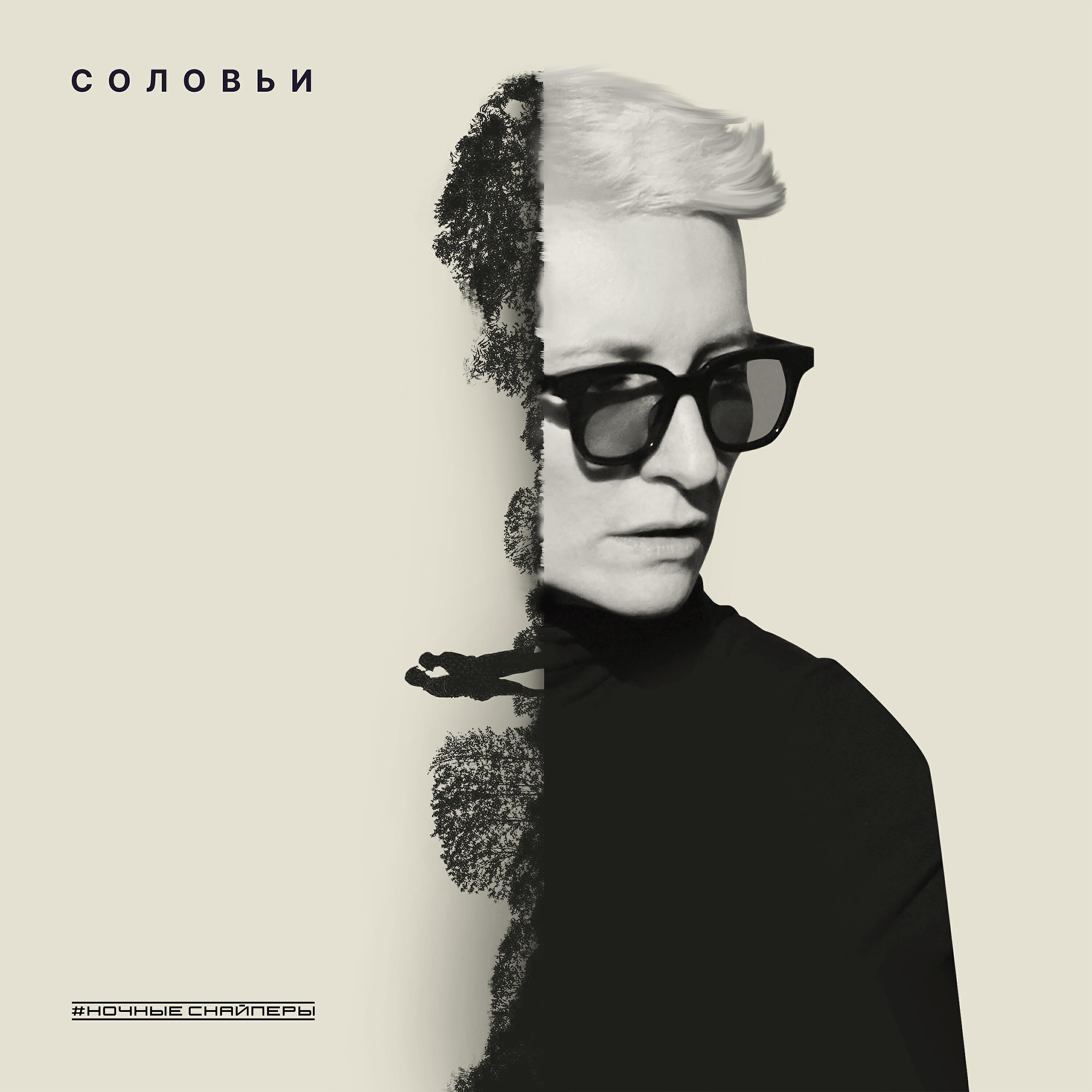 Релиз соловьи