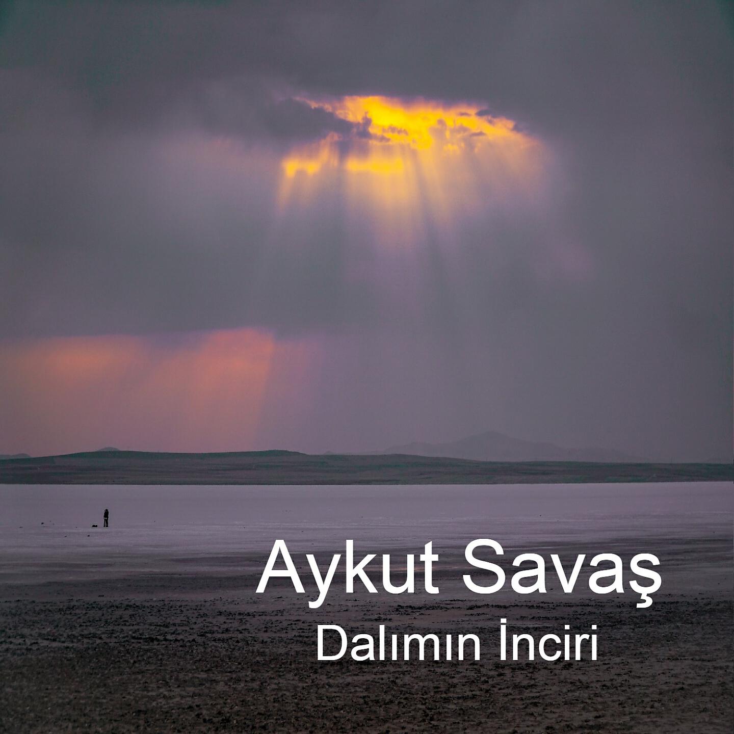 Aykut Savaş