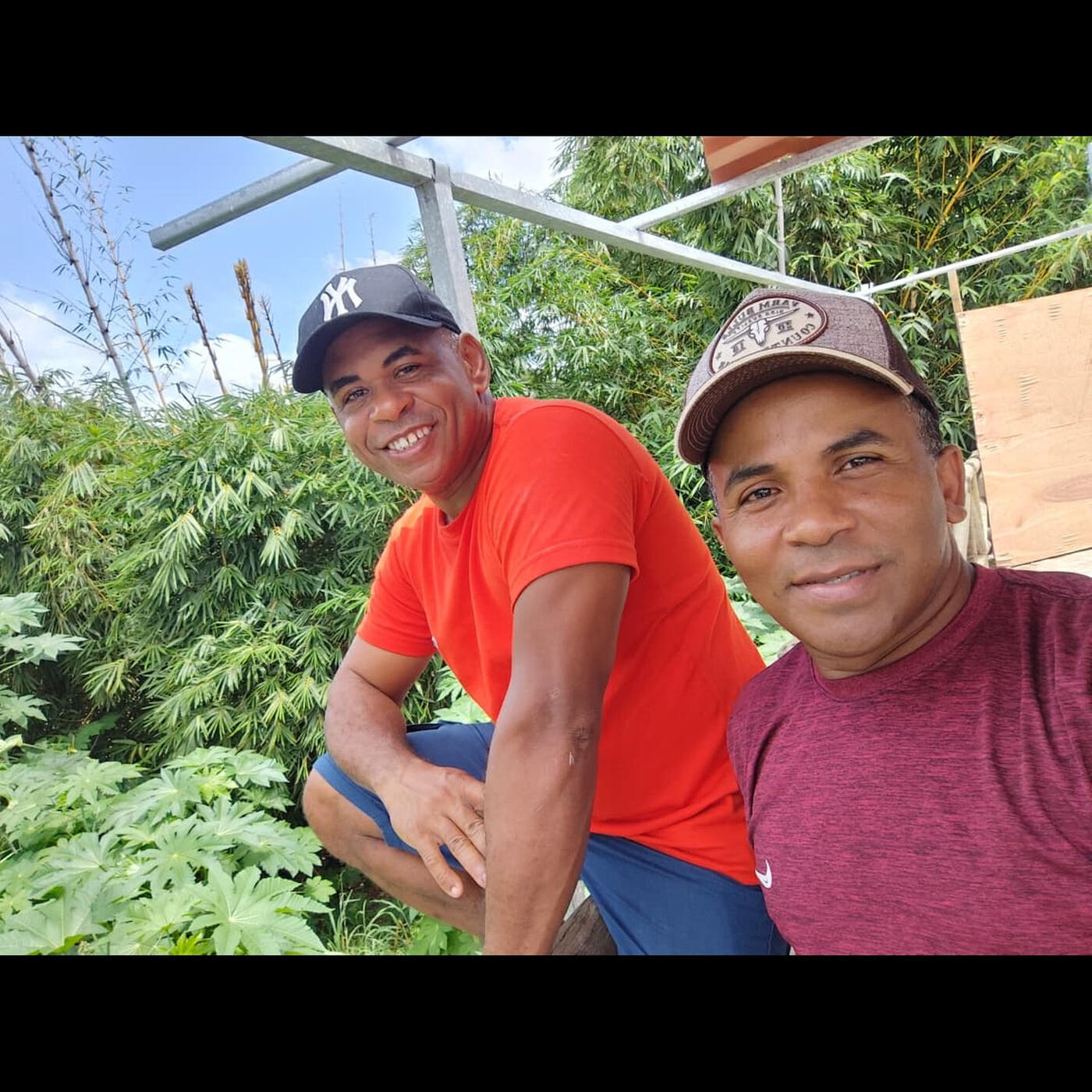 Franklis e Diney