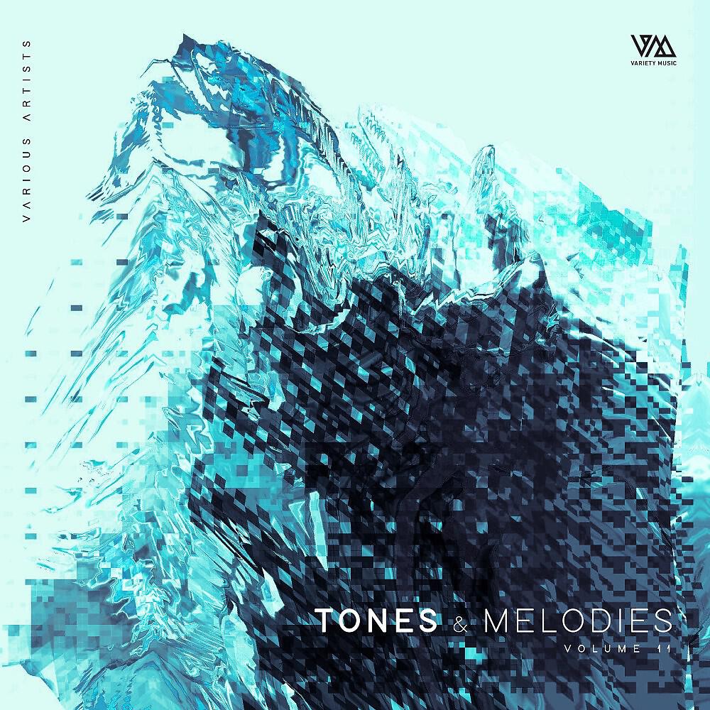 Релиз Tones & Melodies, Vol. 11