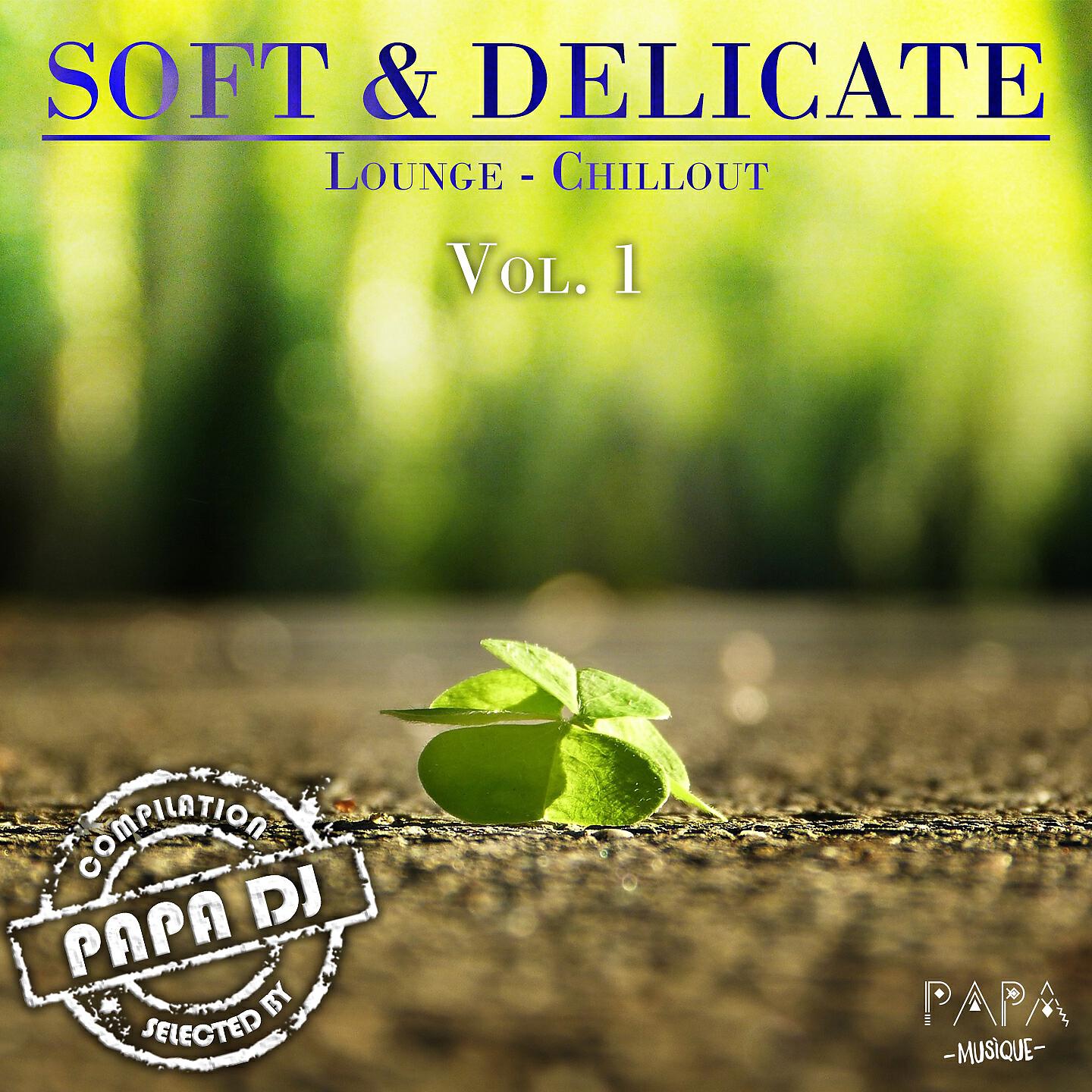 Релиз Soft & Delicate Lounge-Chillout, Vol. 1