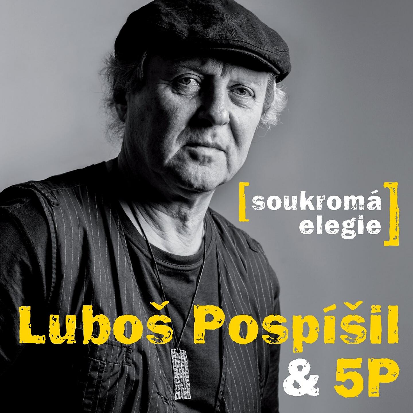Luboš Pospíšil, 5P
