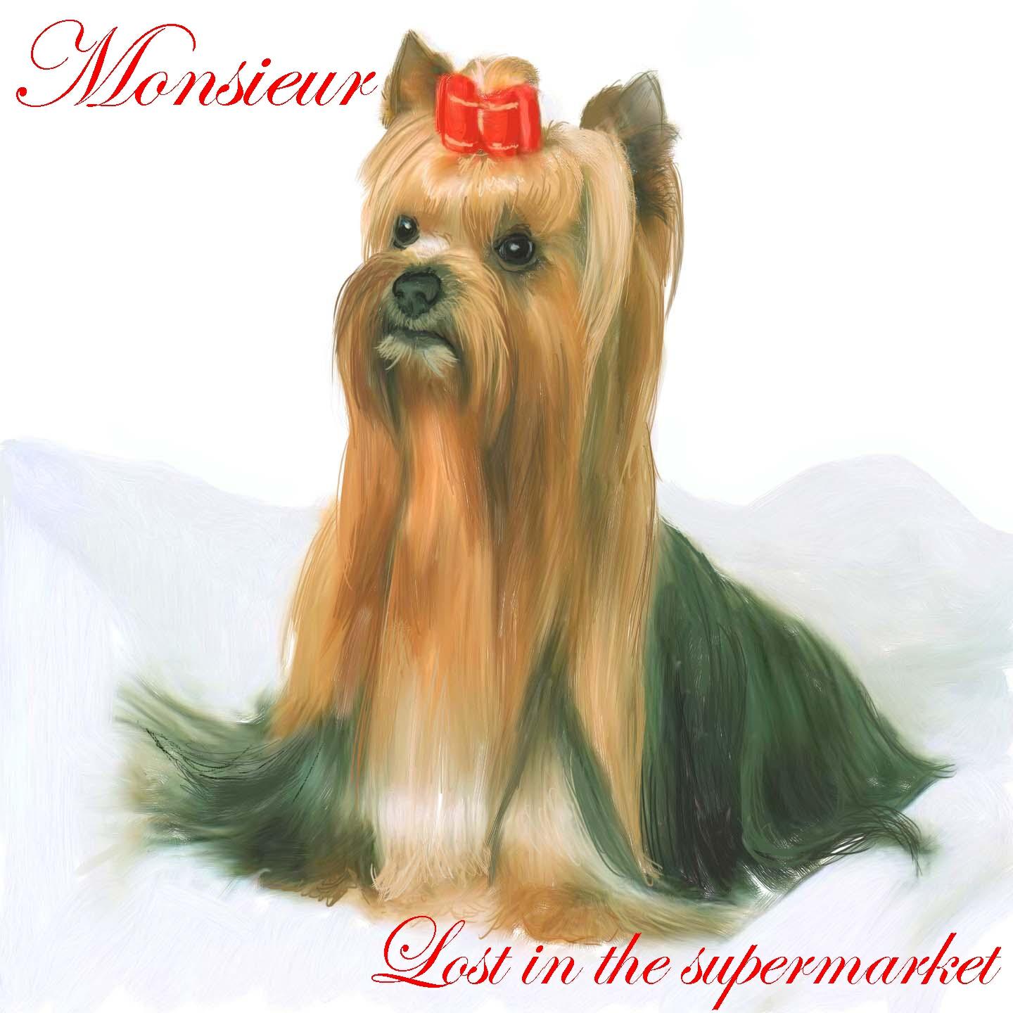 Релиз Lost in the Supermarket