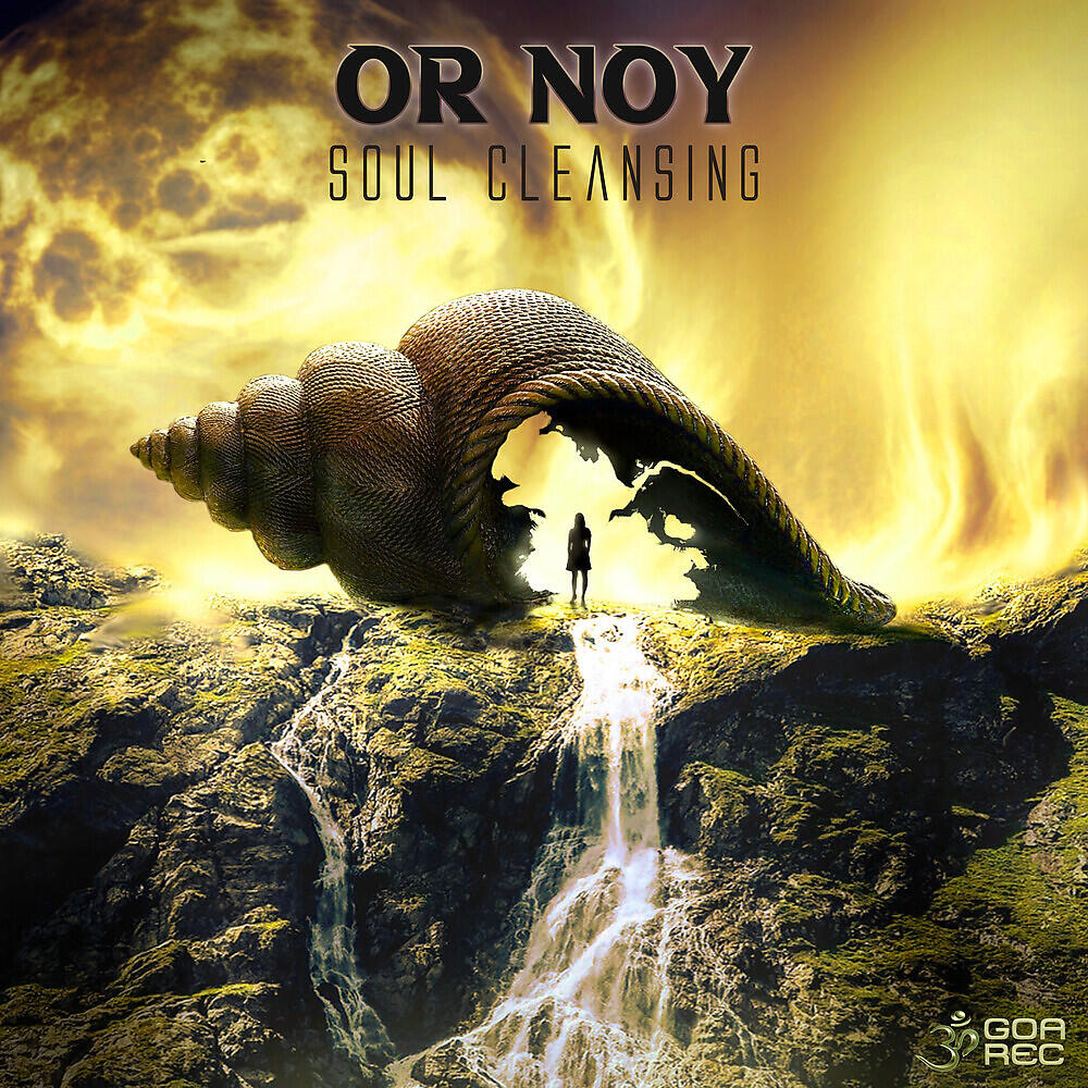Релиз Soul Cleansing