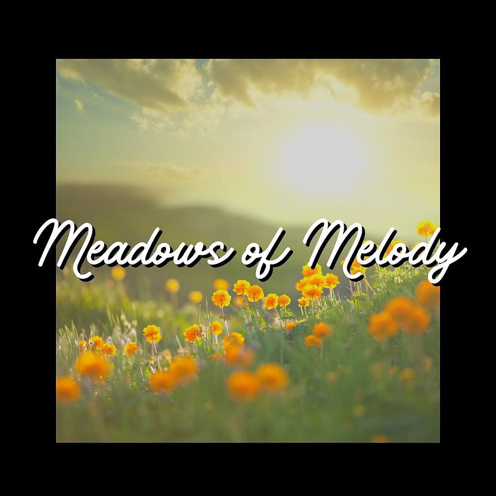 Релиз Meadows of Melody