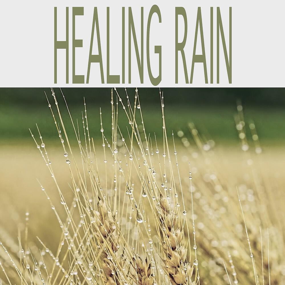Релиз Healing Rain