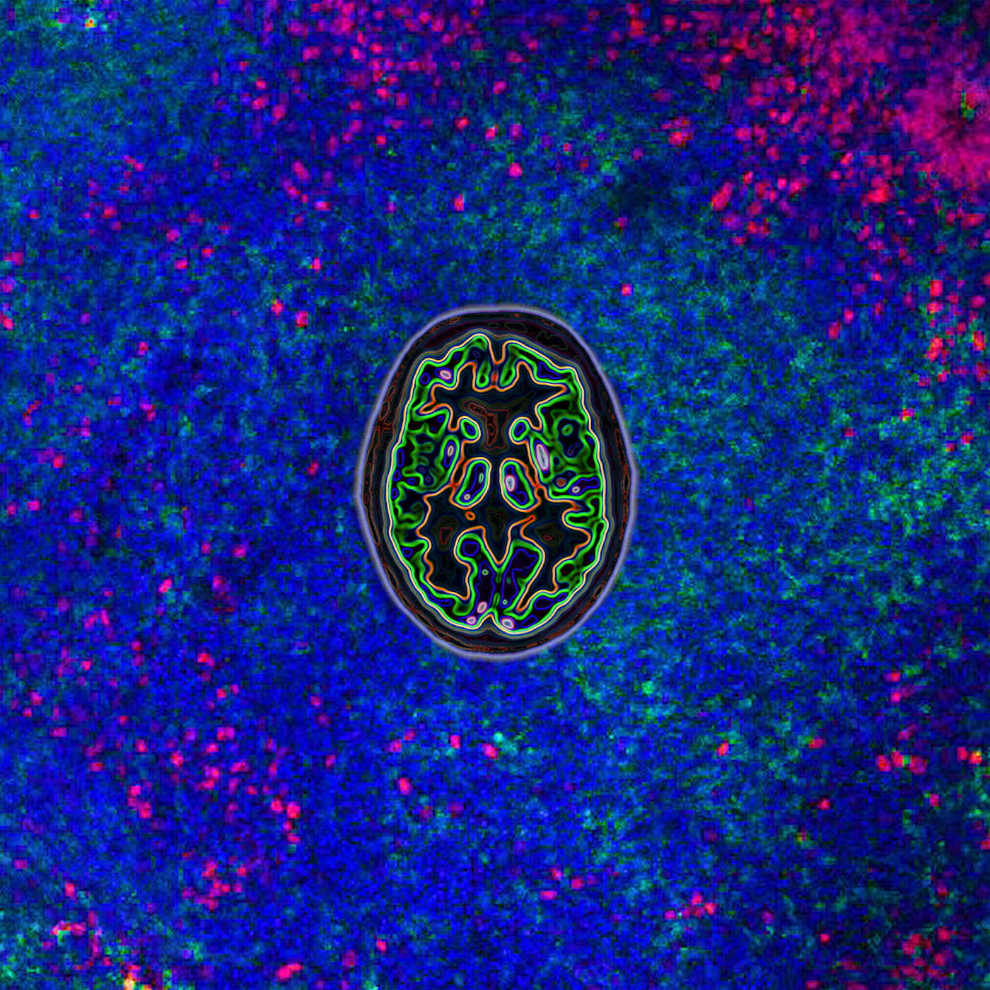 Релиз How Does the Brain Respond to Works of Art?