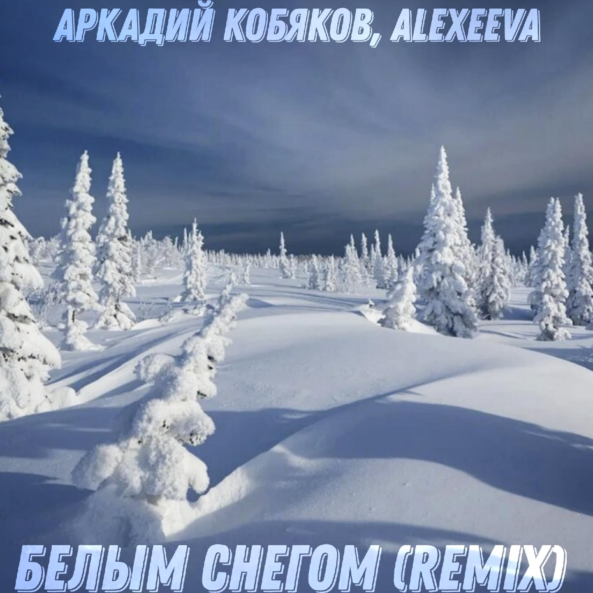 Постер альбома Белым снегом (Remix)