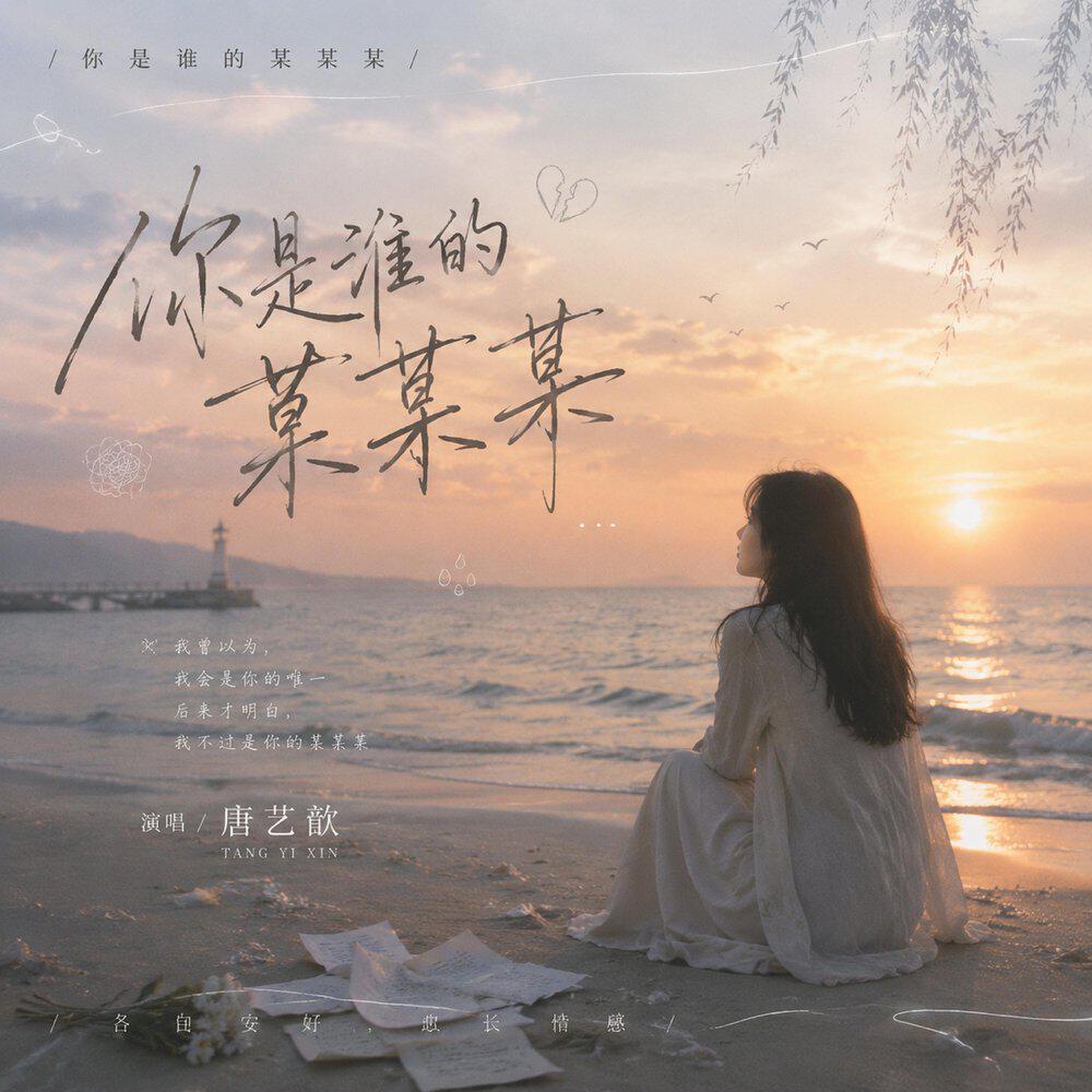 Релиз 你是谁的某某某