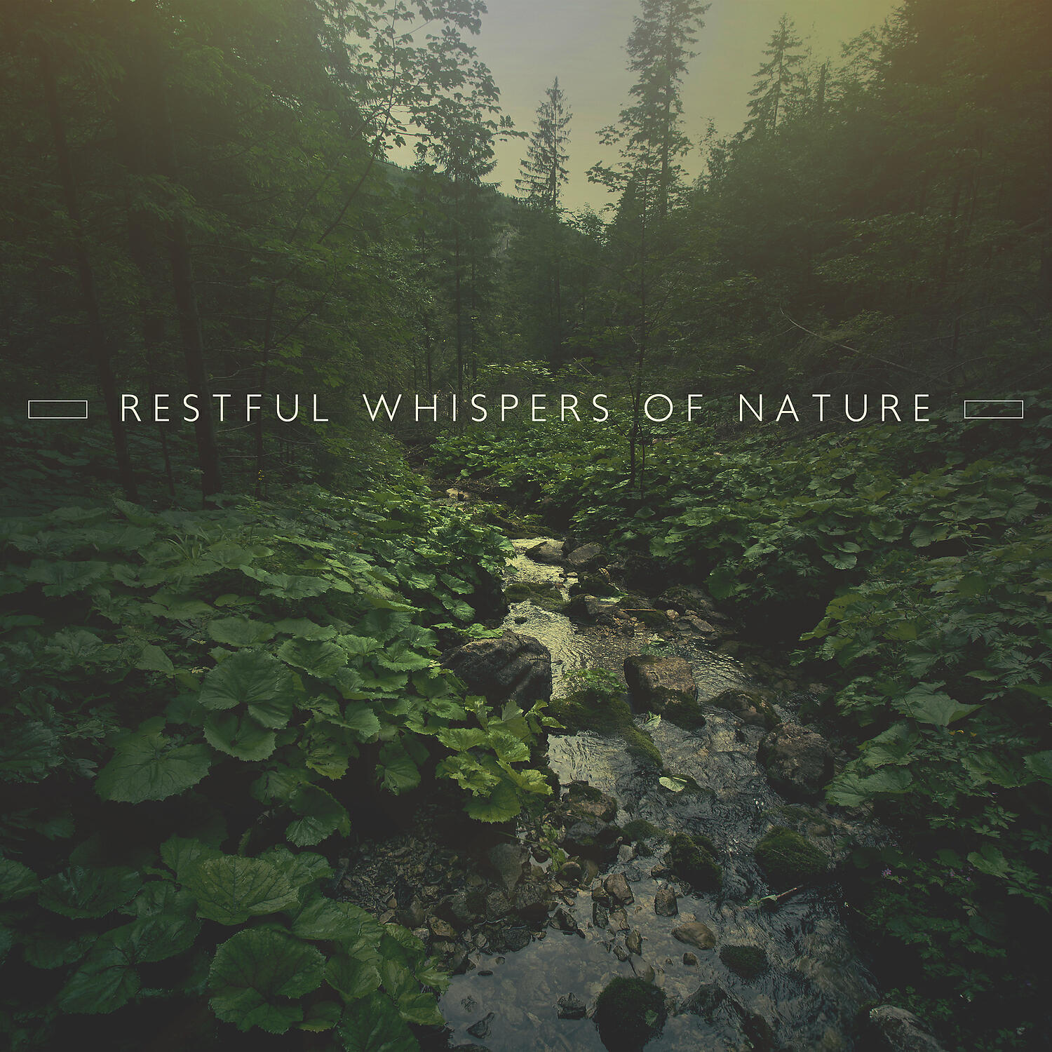 Релиз Restful Whispers of Nature: Calming Sounds of Nature for Deep Sleep