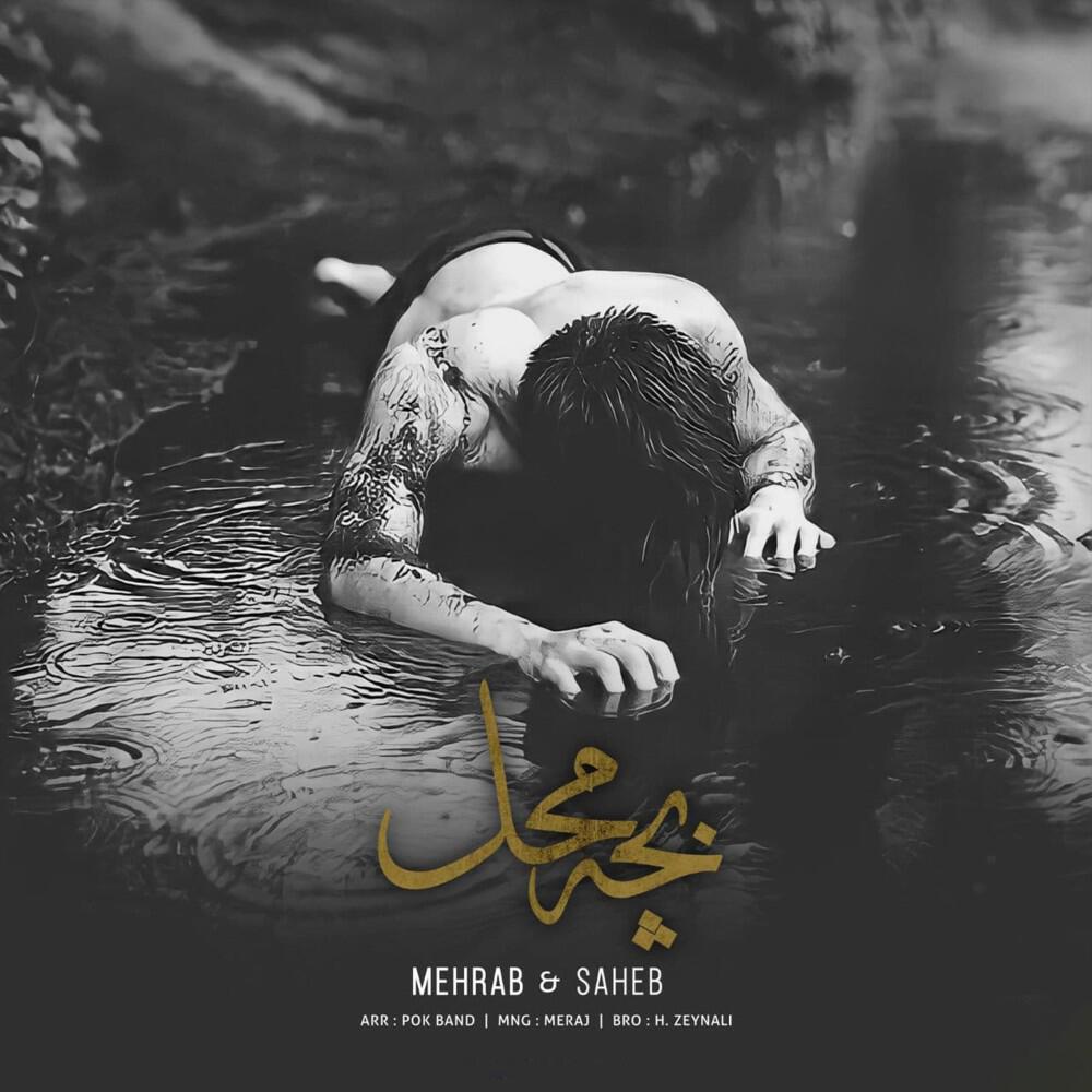 Релиз Bache Mahal