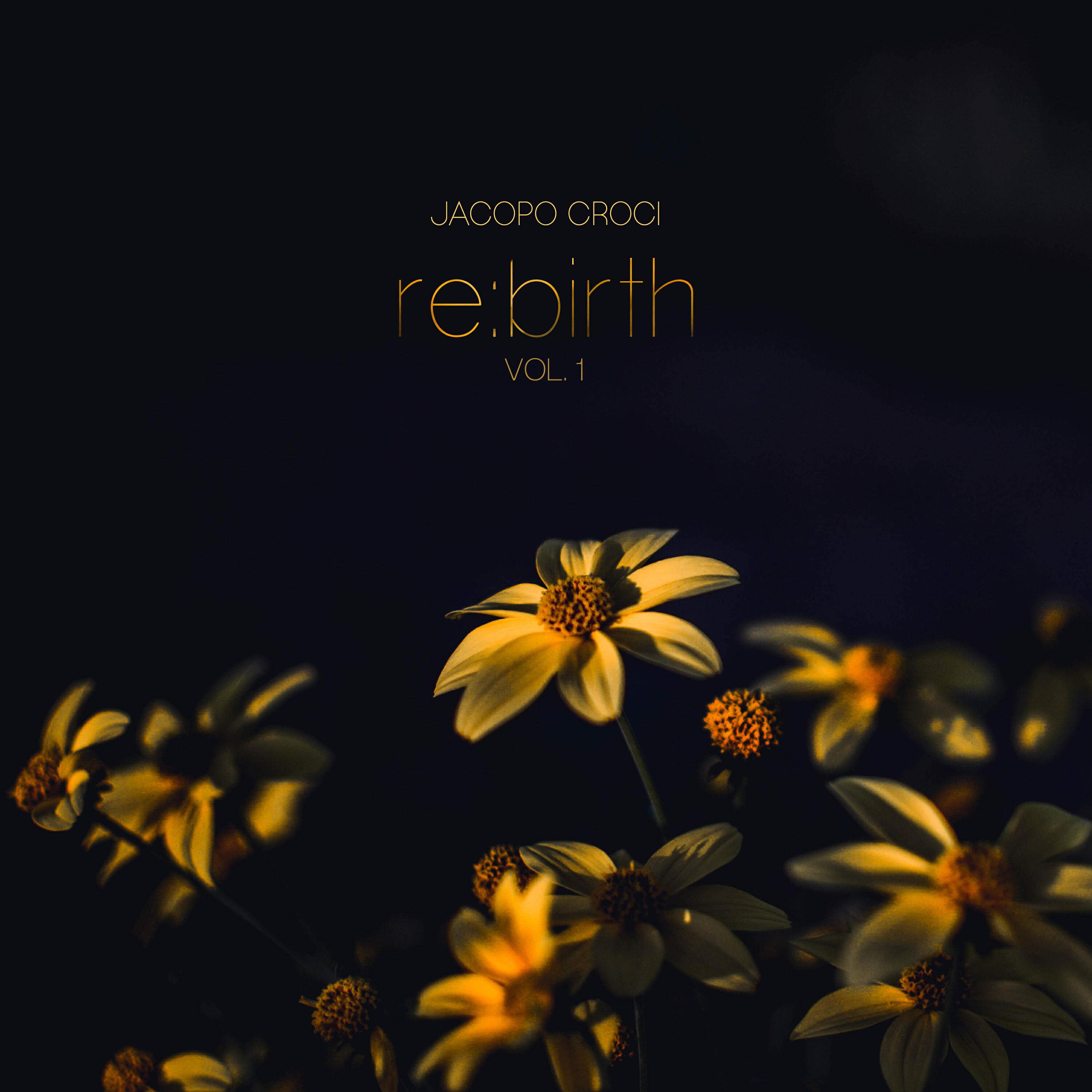 Релиз re:birth, Vol. 1