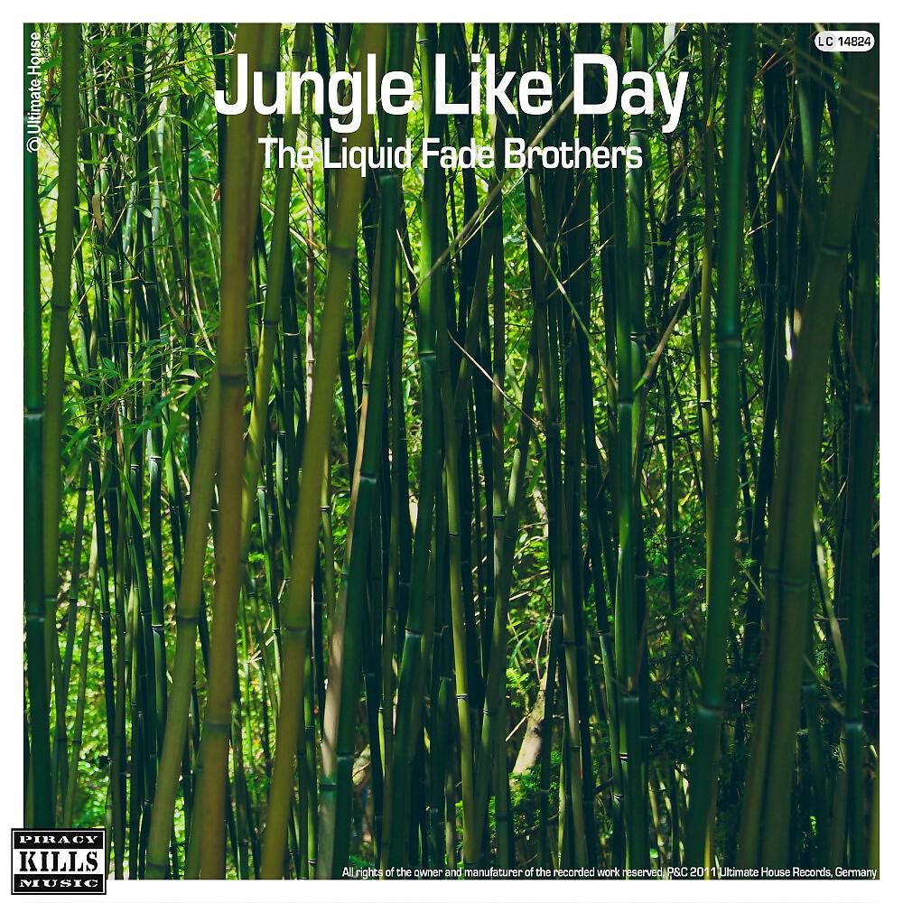 Релиз Jungle Like Day