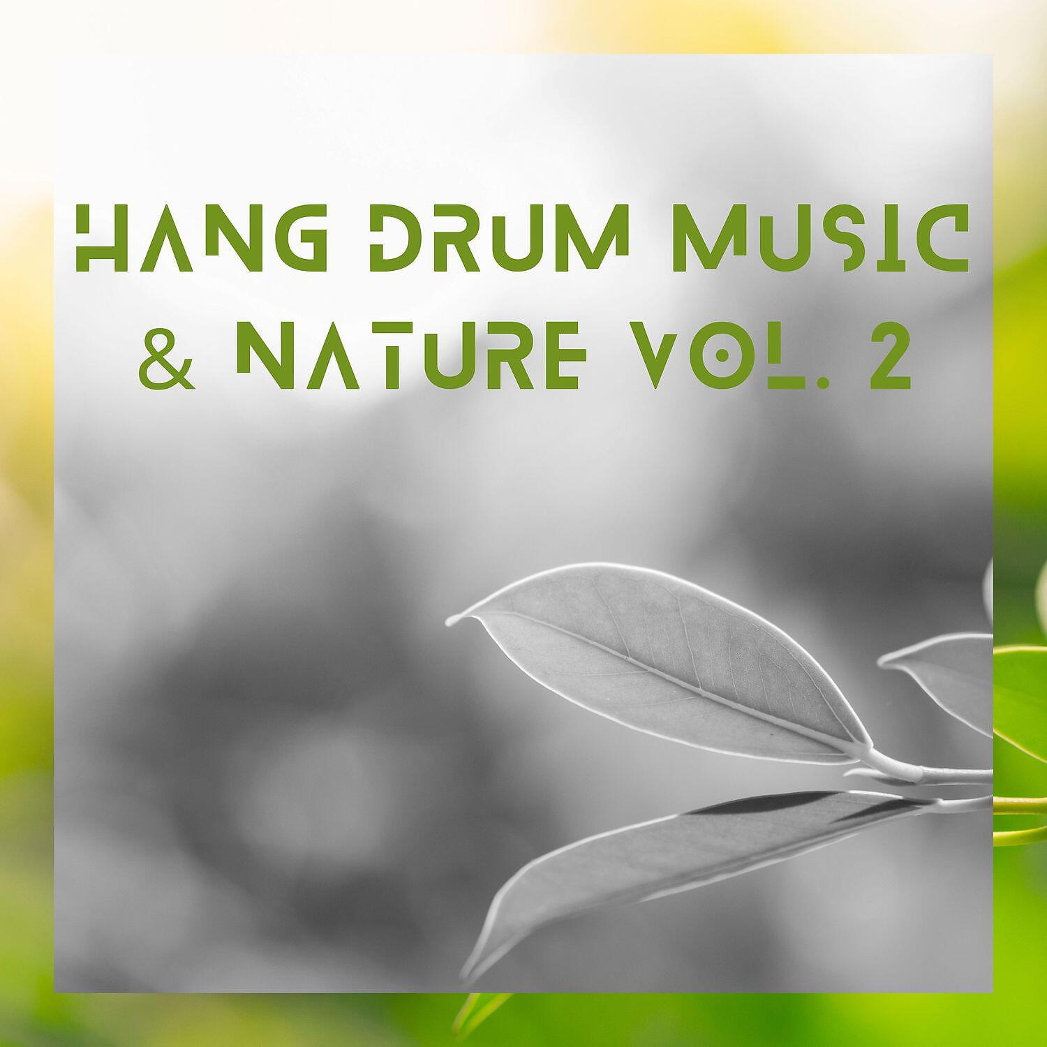 Релиз Hang Drum Music & Nature Vol. 2