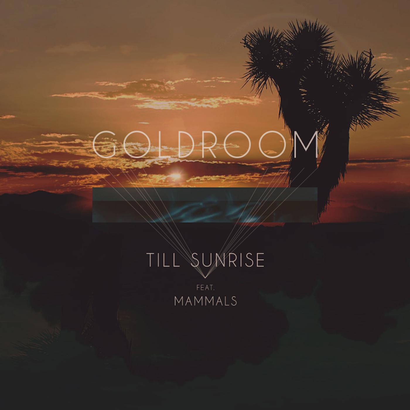 Релиз Till Sunrise (feat. Mammals)
