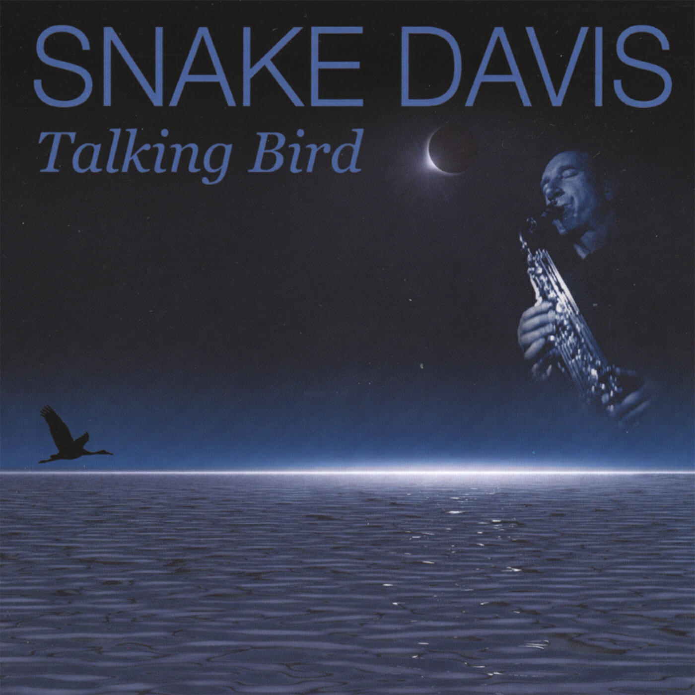 Релиз Talking Bird
