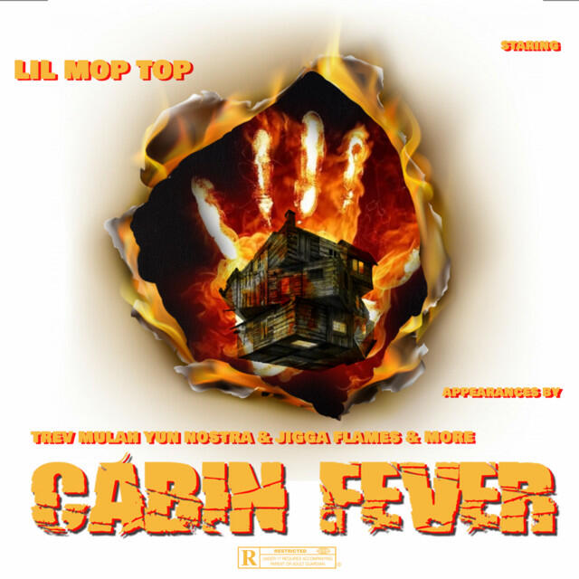 Релиз Cabin Fever