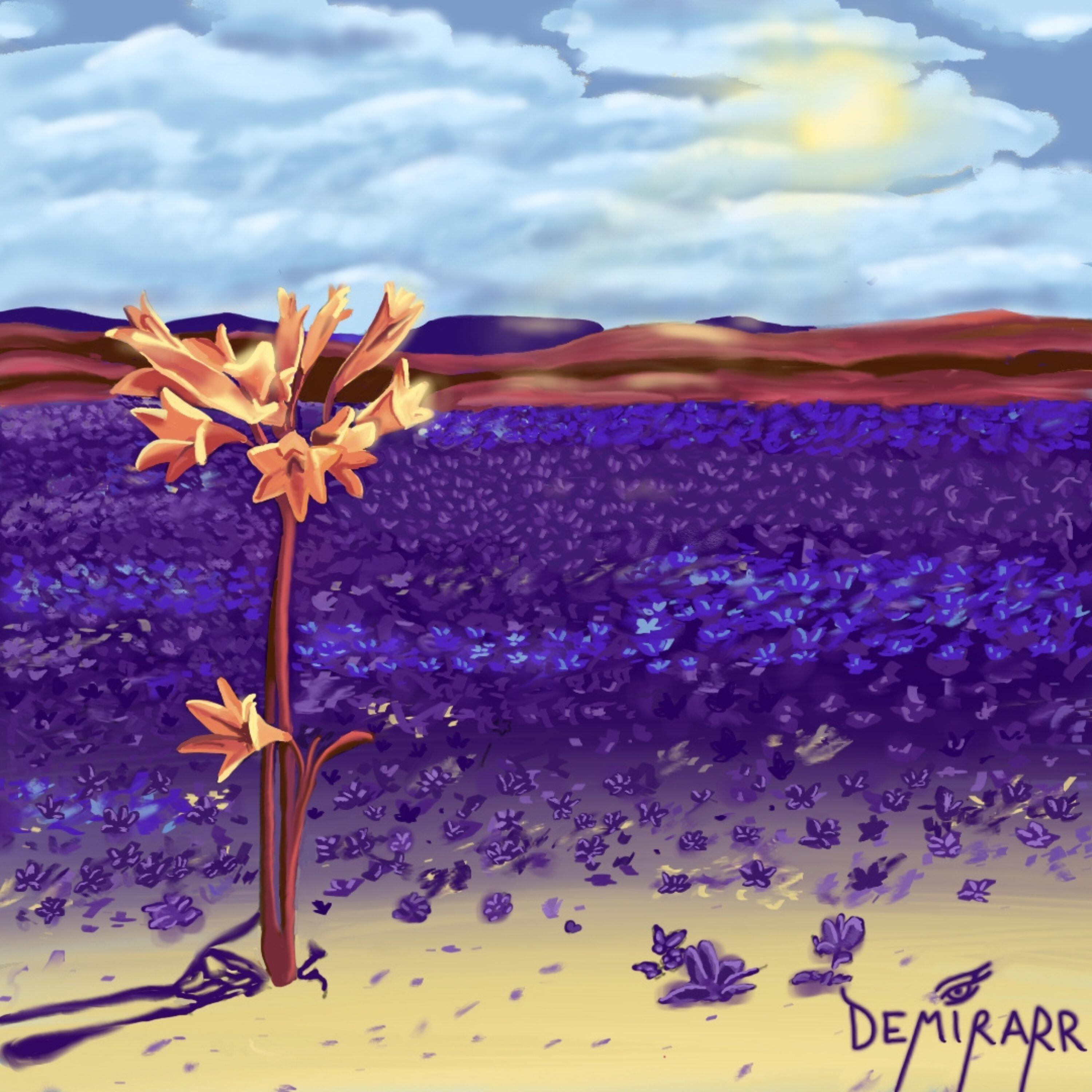 Релиз Desierto Florido