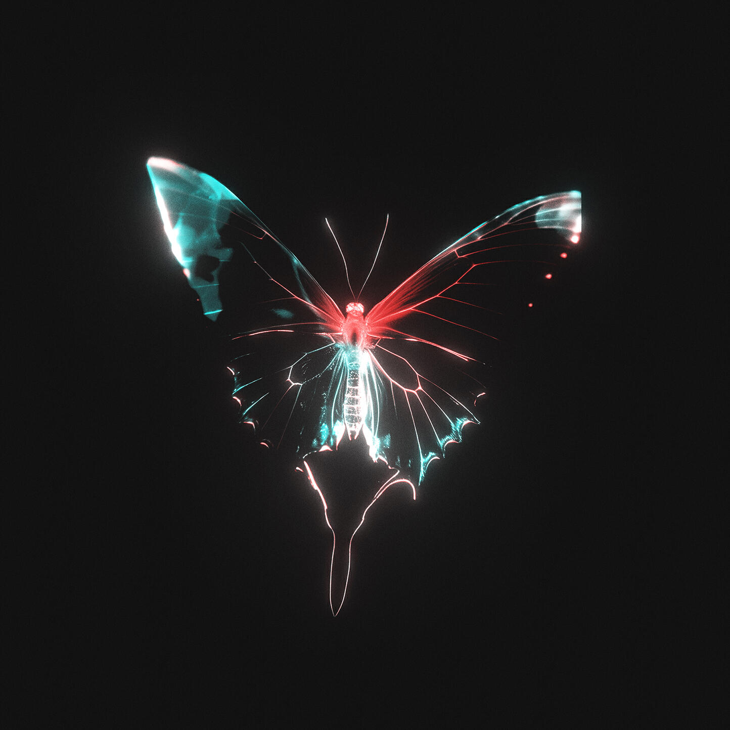 Релиз Reborn
