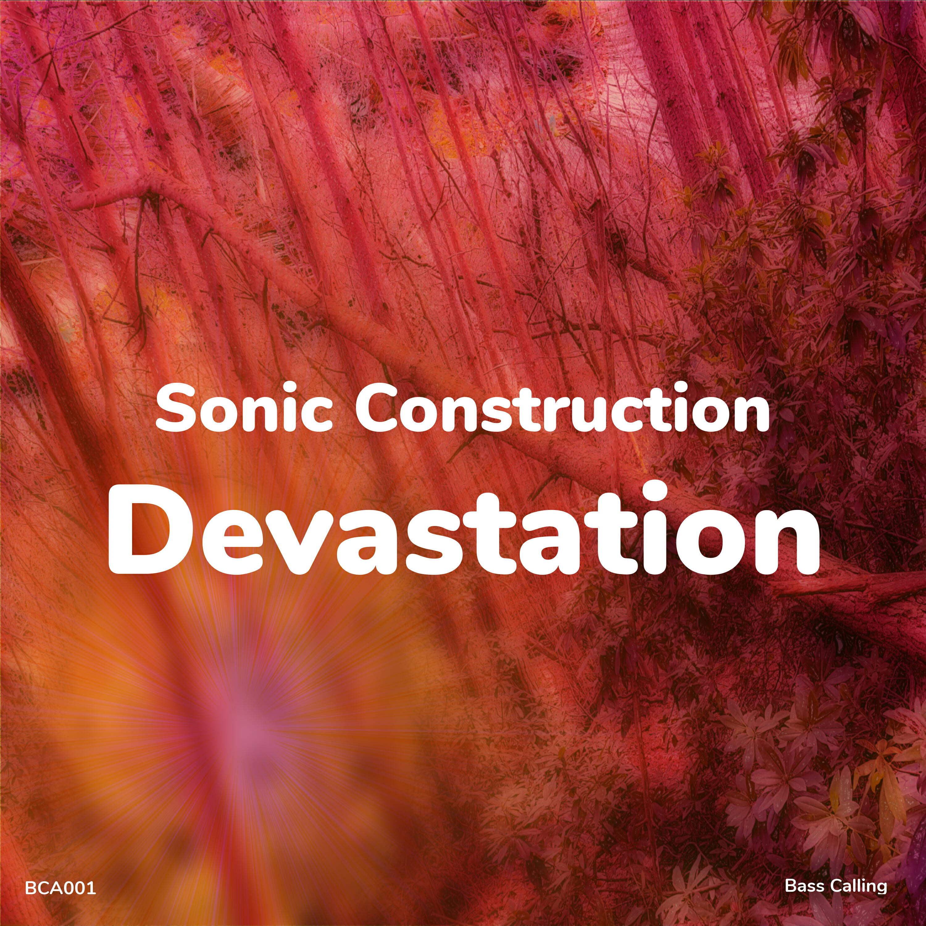 Sonic Construction