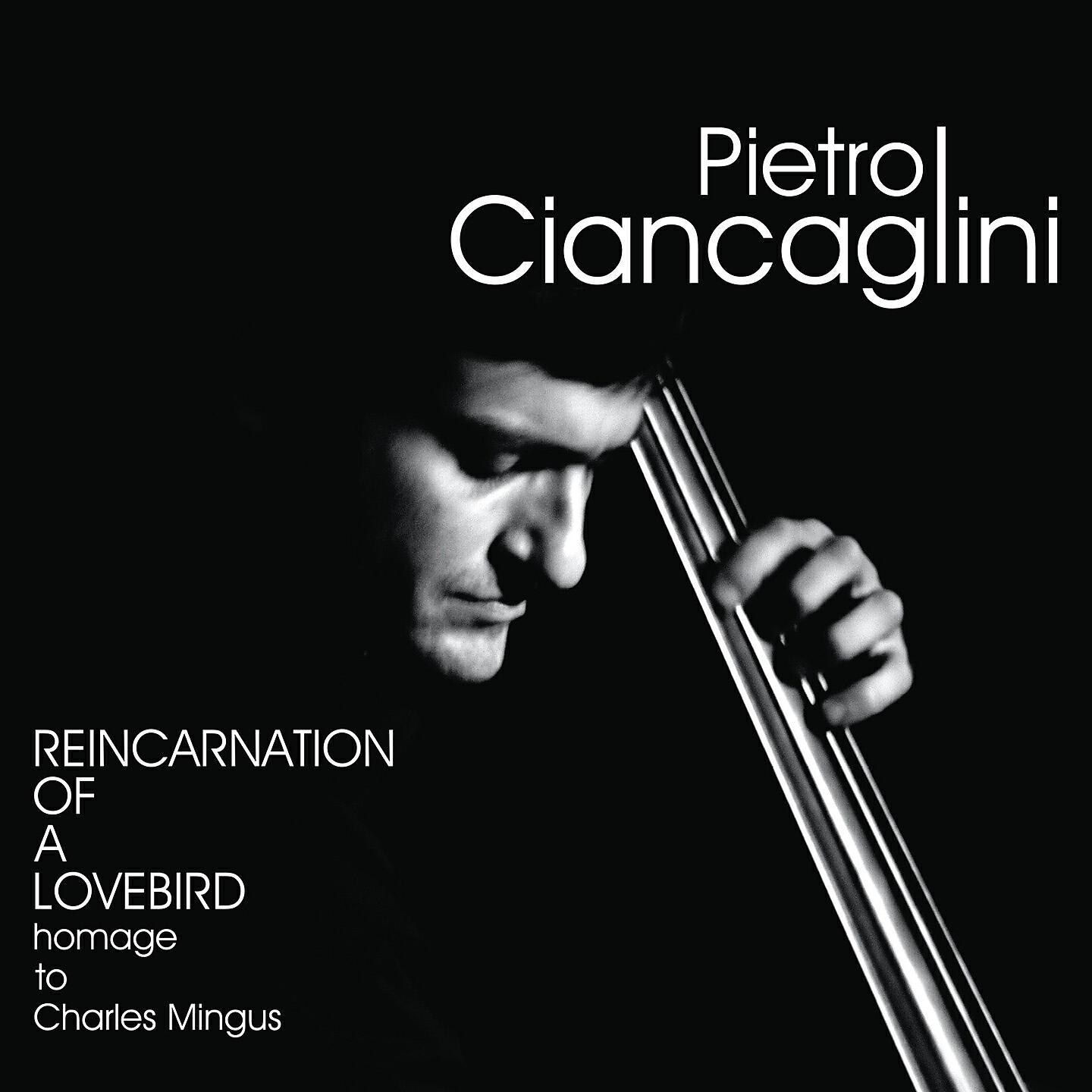 Релиз Reincarnation of a Lovebird