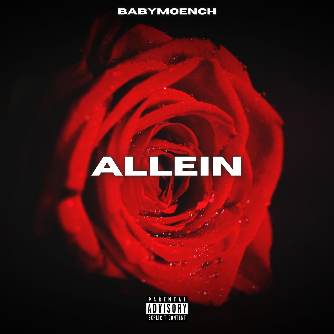Релиз Allein