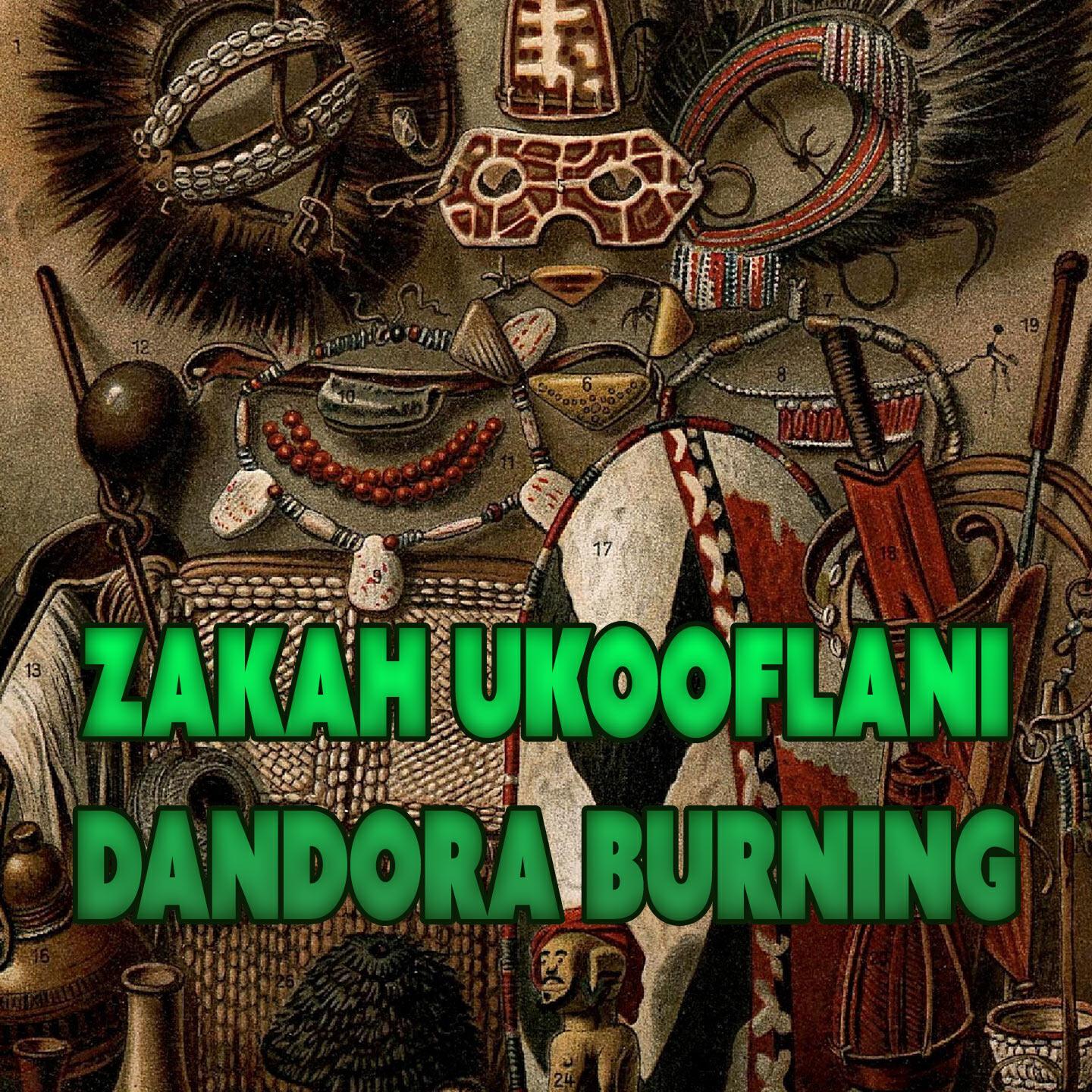 Релиз Dandora Burning