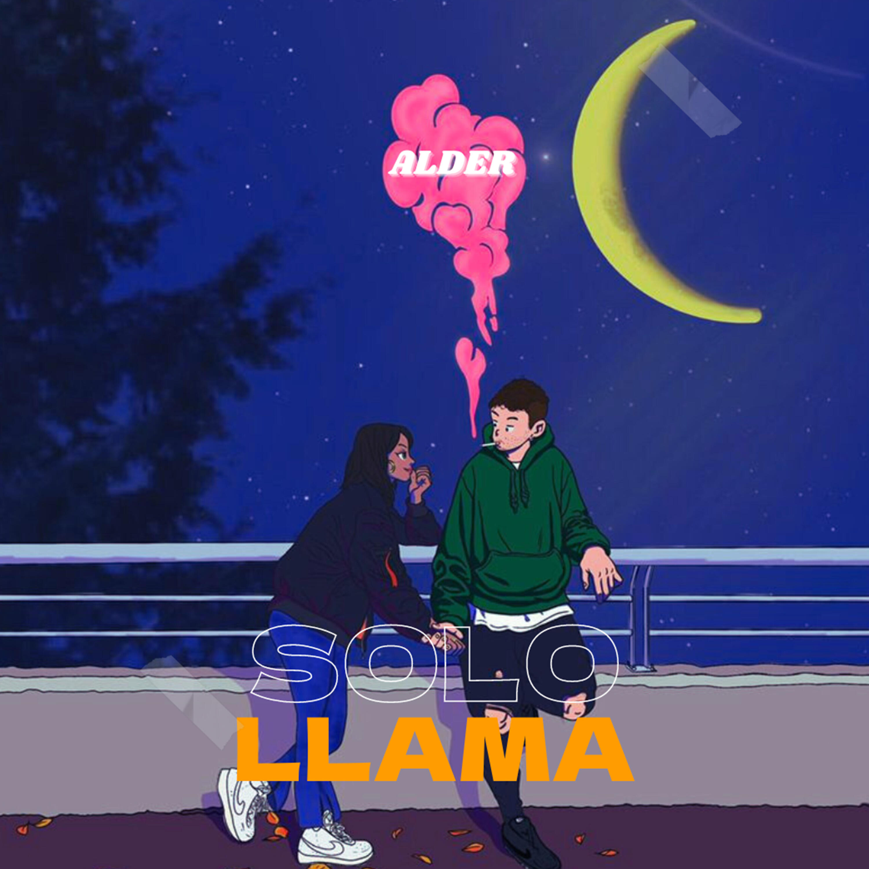 Релиз Solo Llama