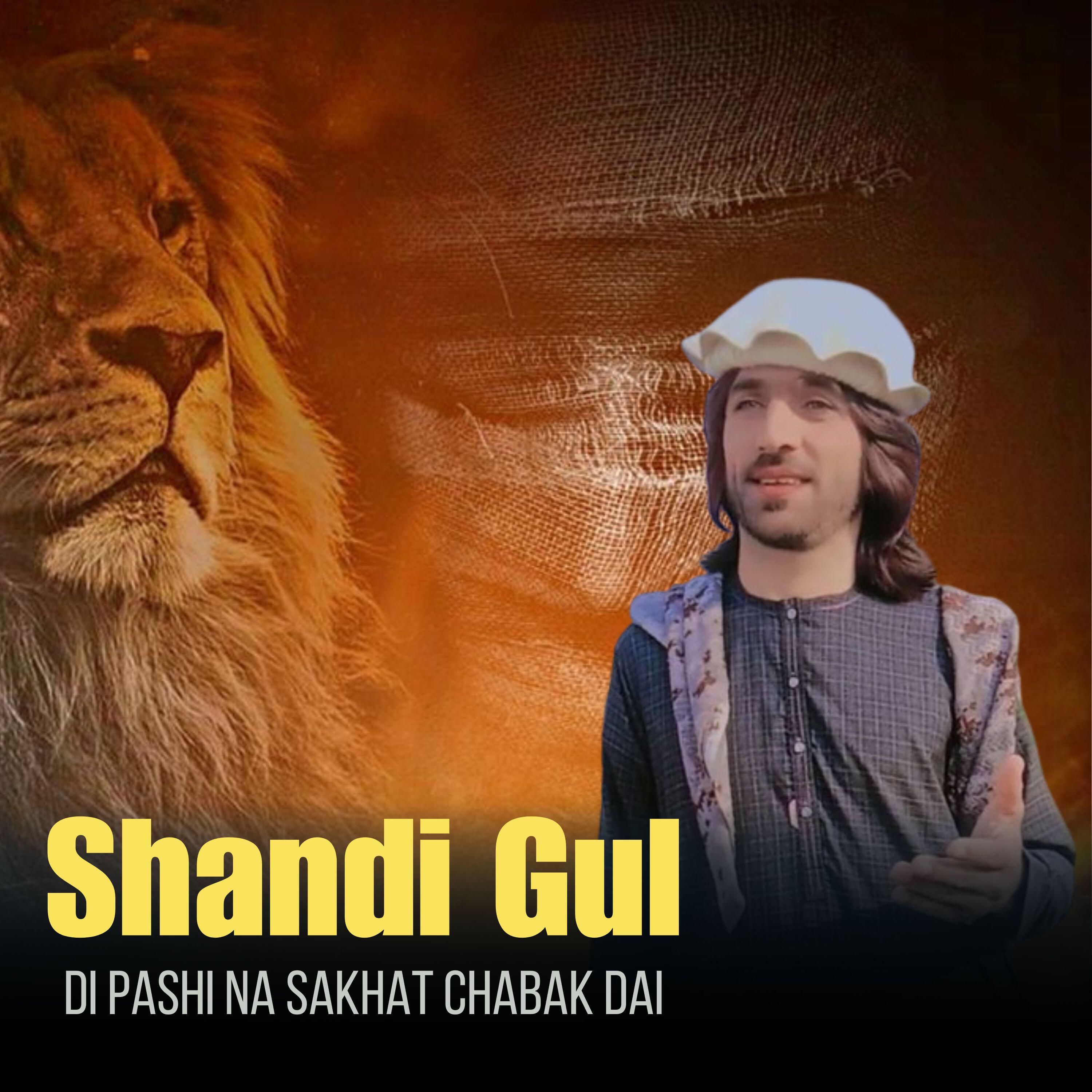 Релиз Di Pashi Na Sakhat Chabak Dai
