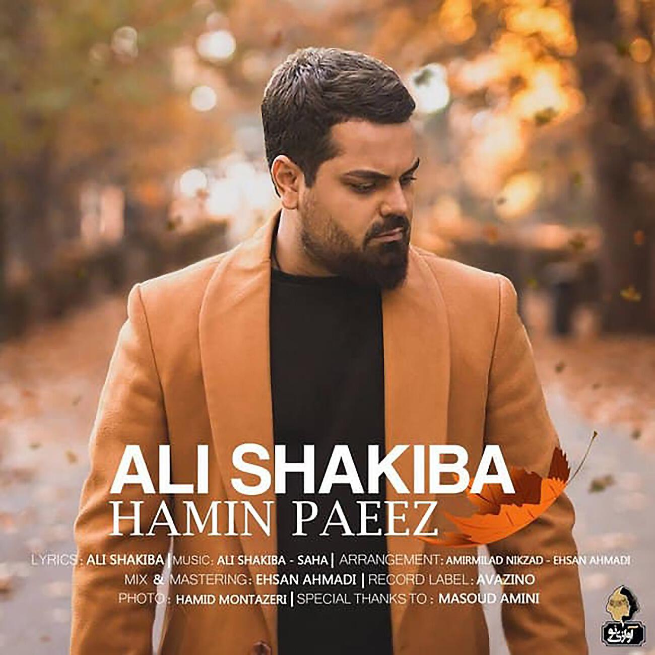 Релиз Hamin Paeez