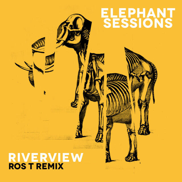 Релиз Riverview (Ros T Remix)