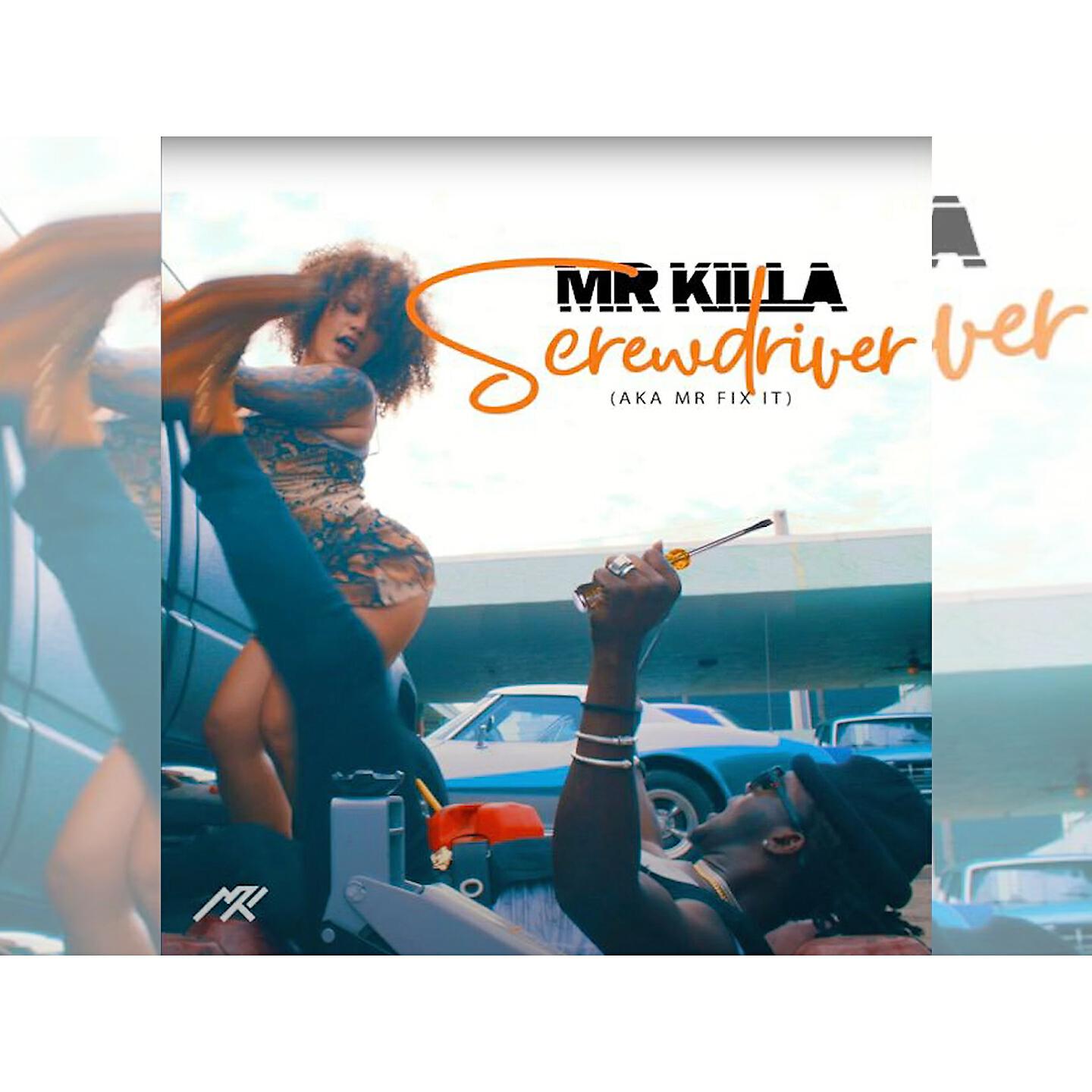 Релиз Screwdriver