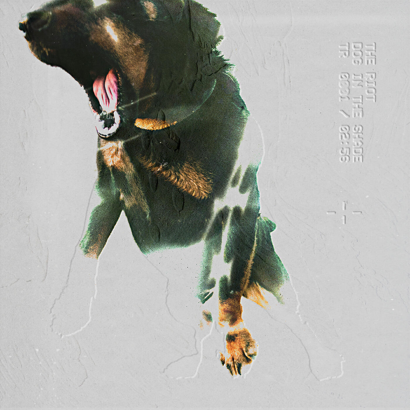 Релиз Dog In The Shade
