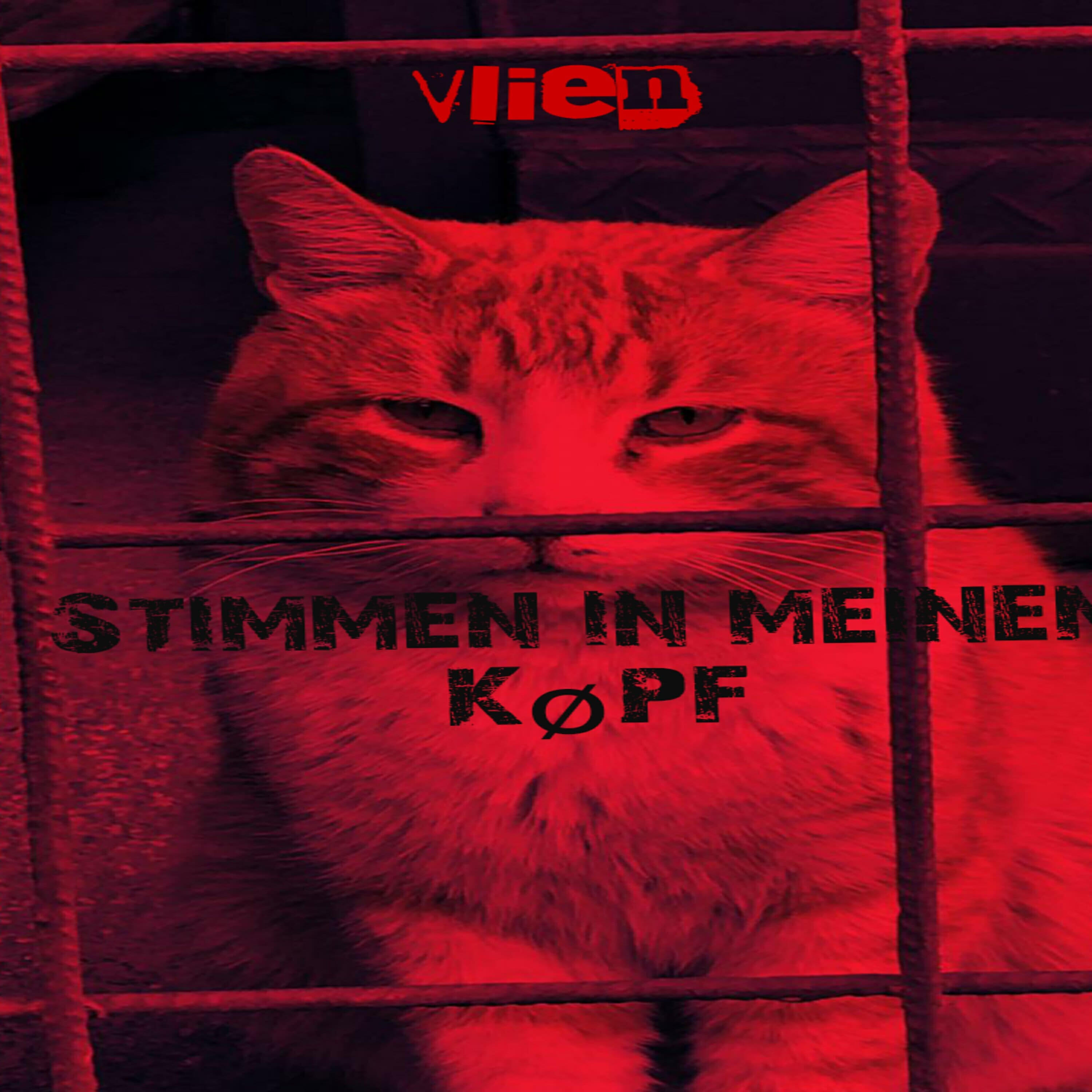 Релиз Stimmen in meinem køpf