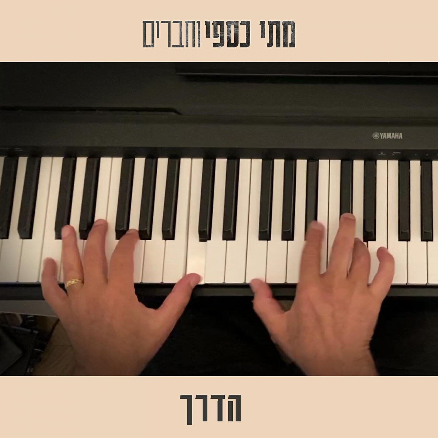 איריס פורטוגלי