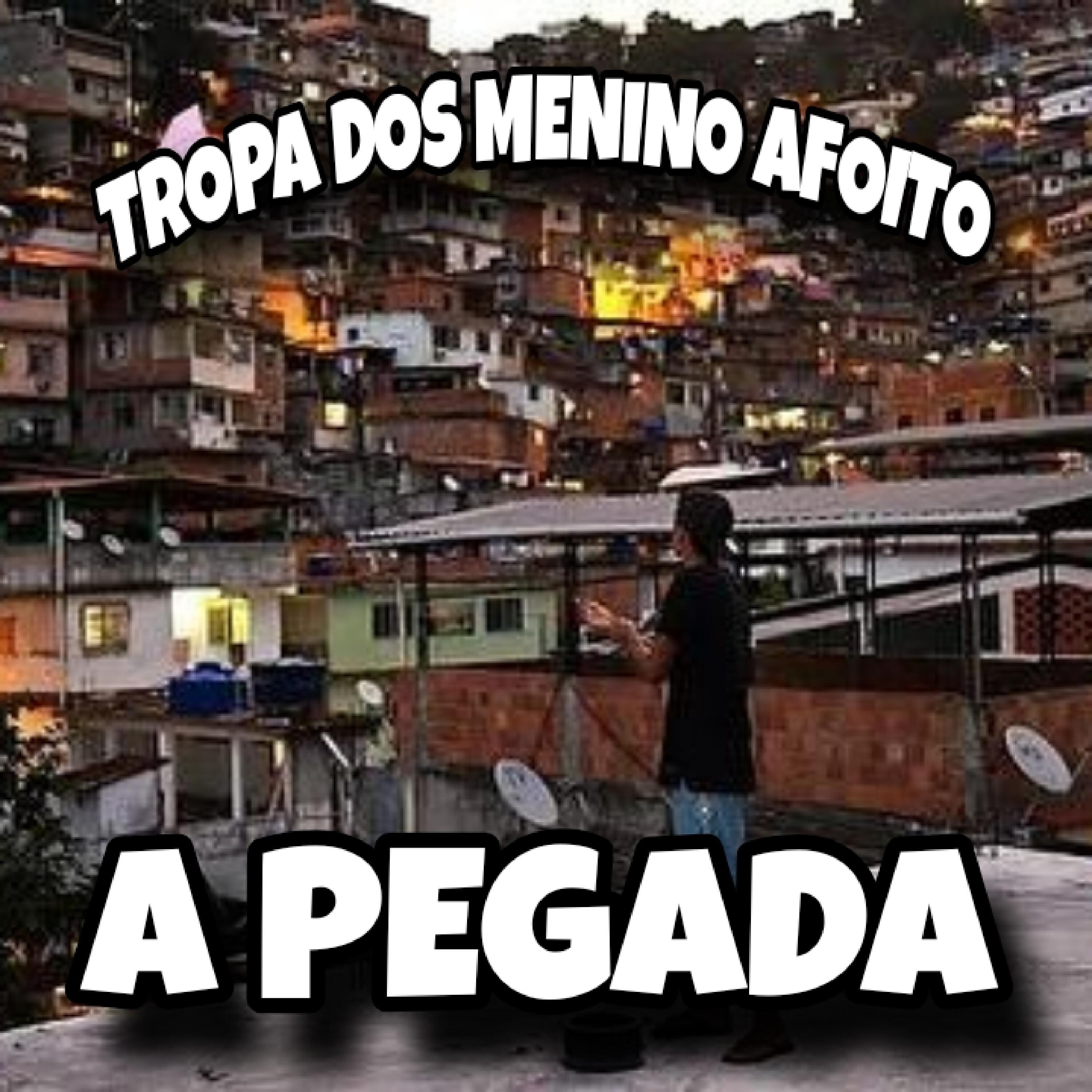 Релиз Tropa dos Menino Afoito