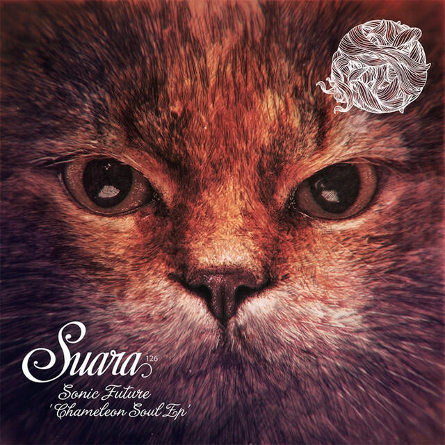 Релиз Chameleon Soul