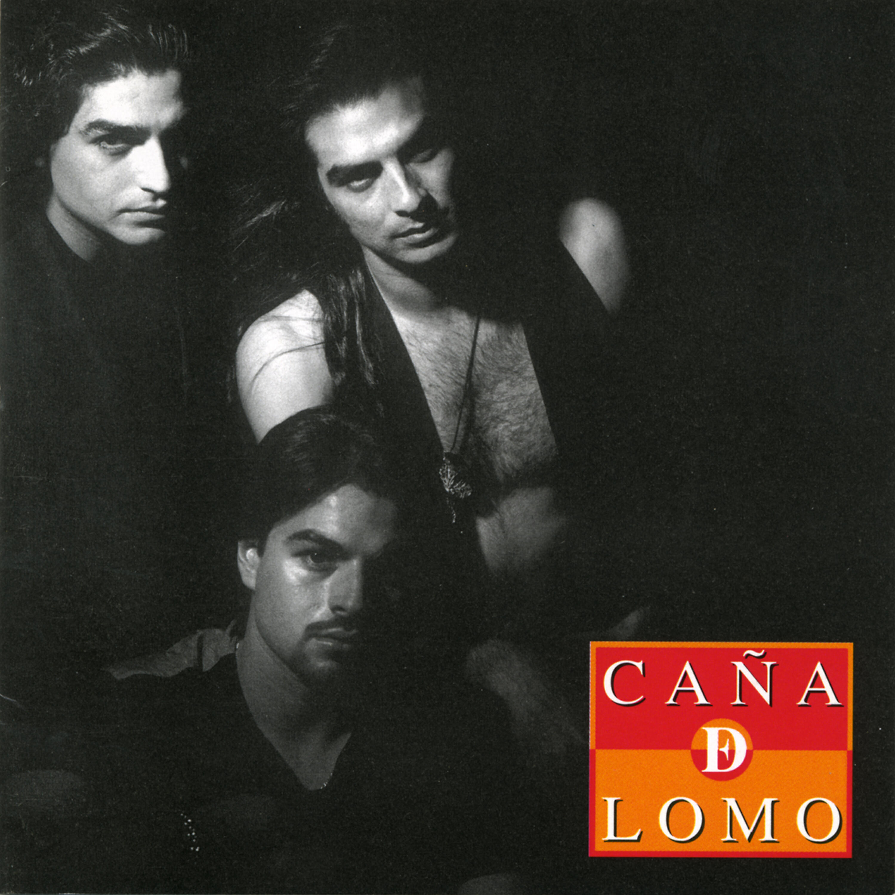 Caña de Lomo